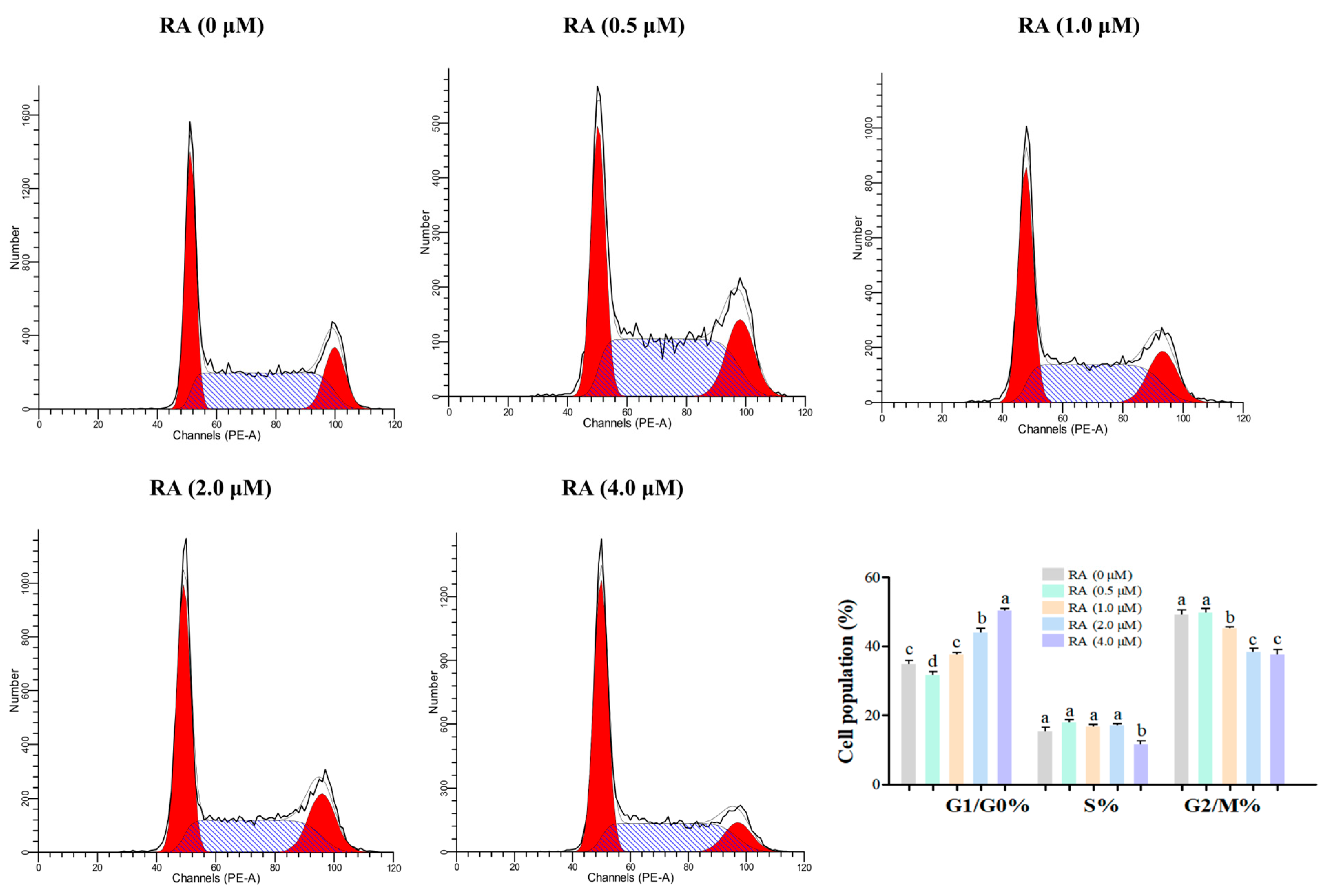 Cells 14 00504 g006 Cells 14 00504 g006