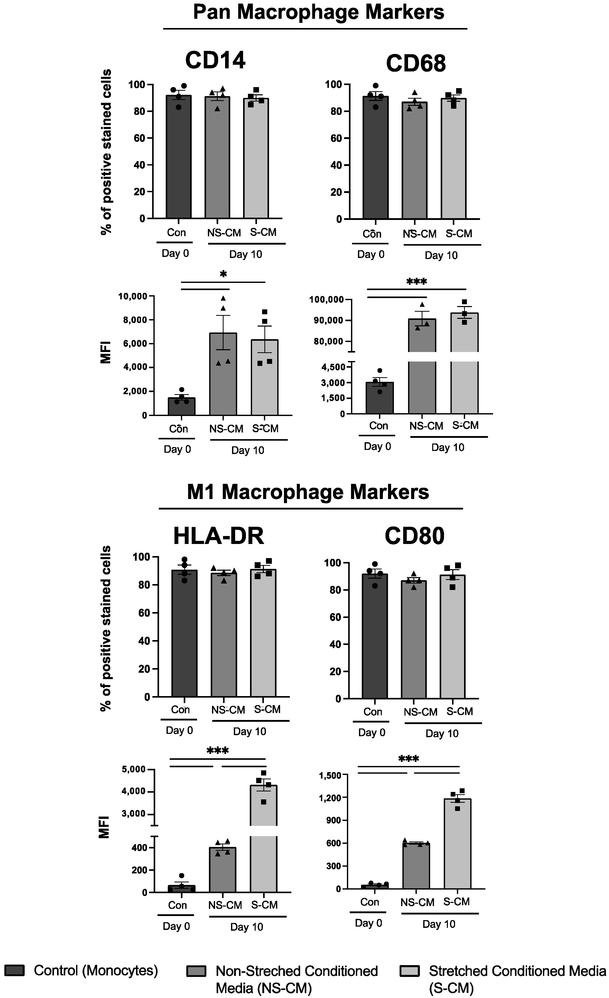 Cells 14 00514 g002 Cells 14 00514 g002