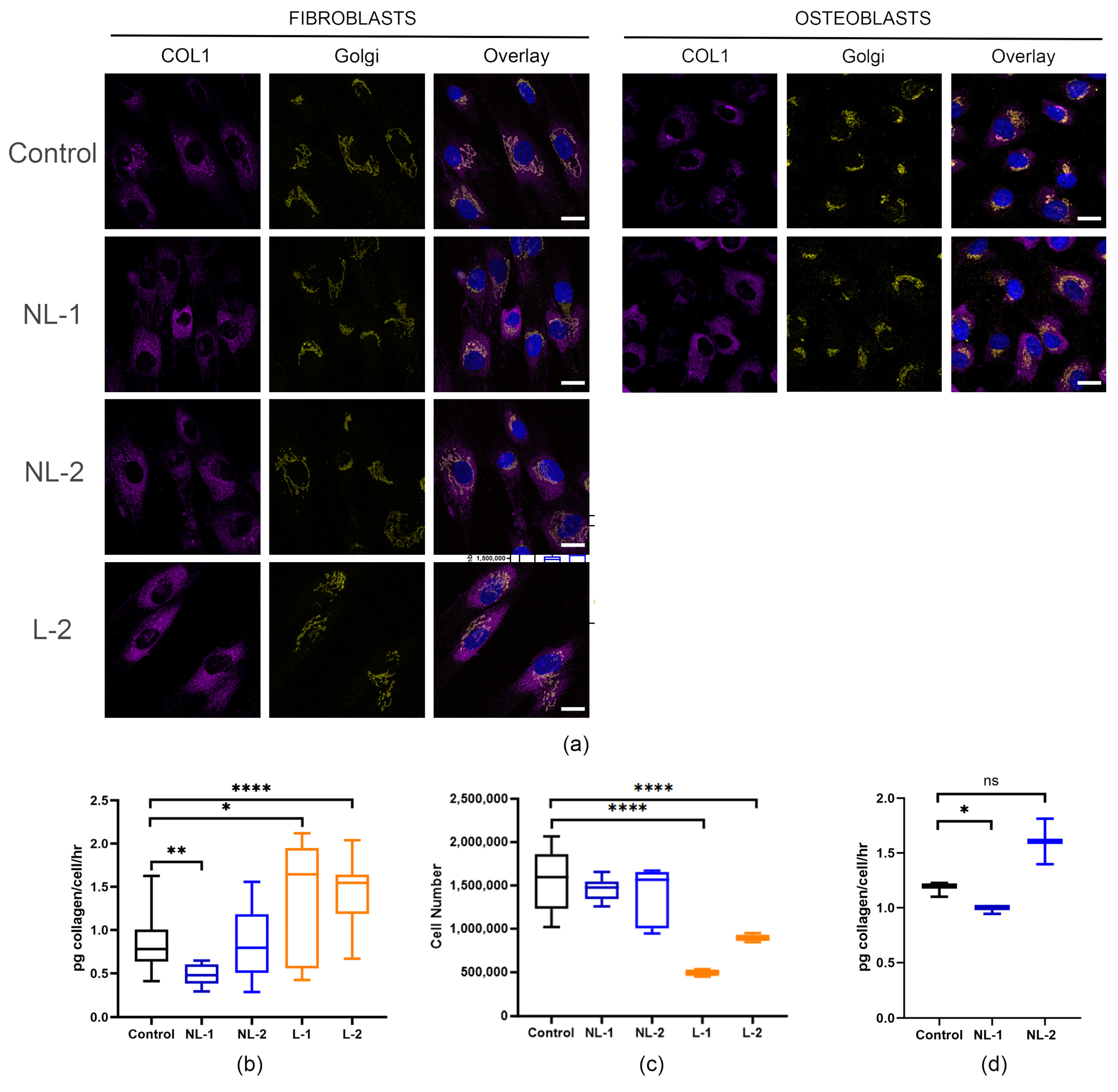 Cells 14 00518 g003 Cells 14 00518 g003