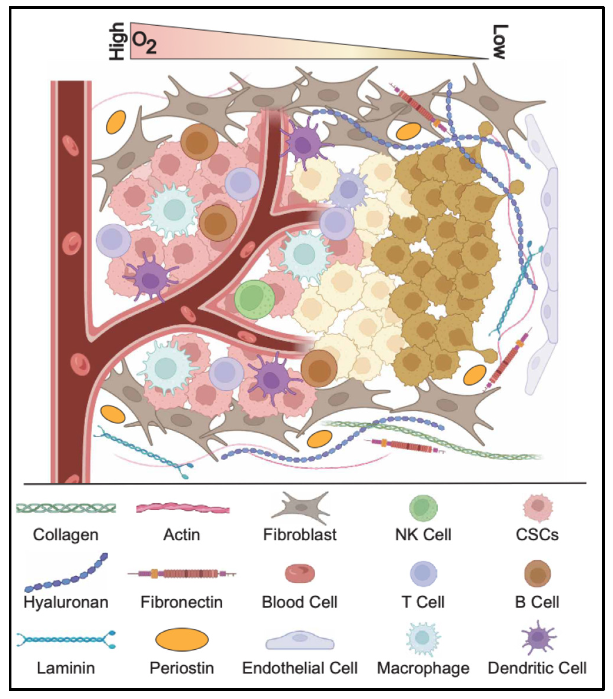 Cells 14 00538 g003 Cells 14 00538 g003