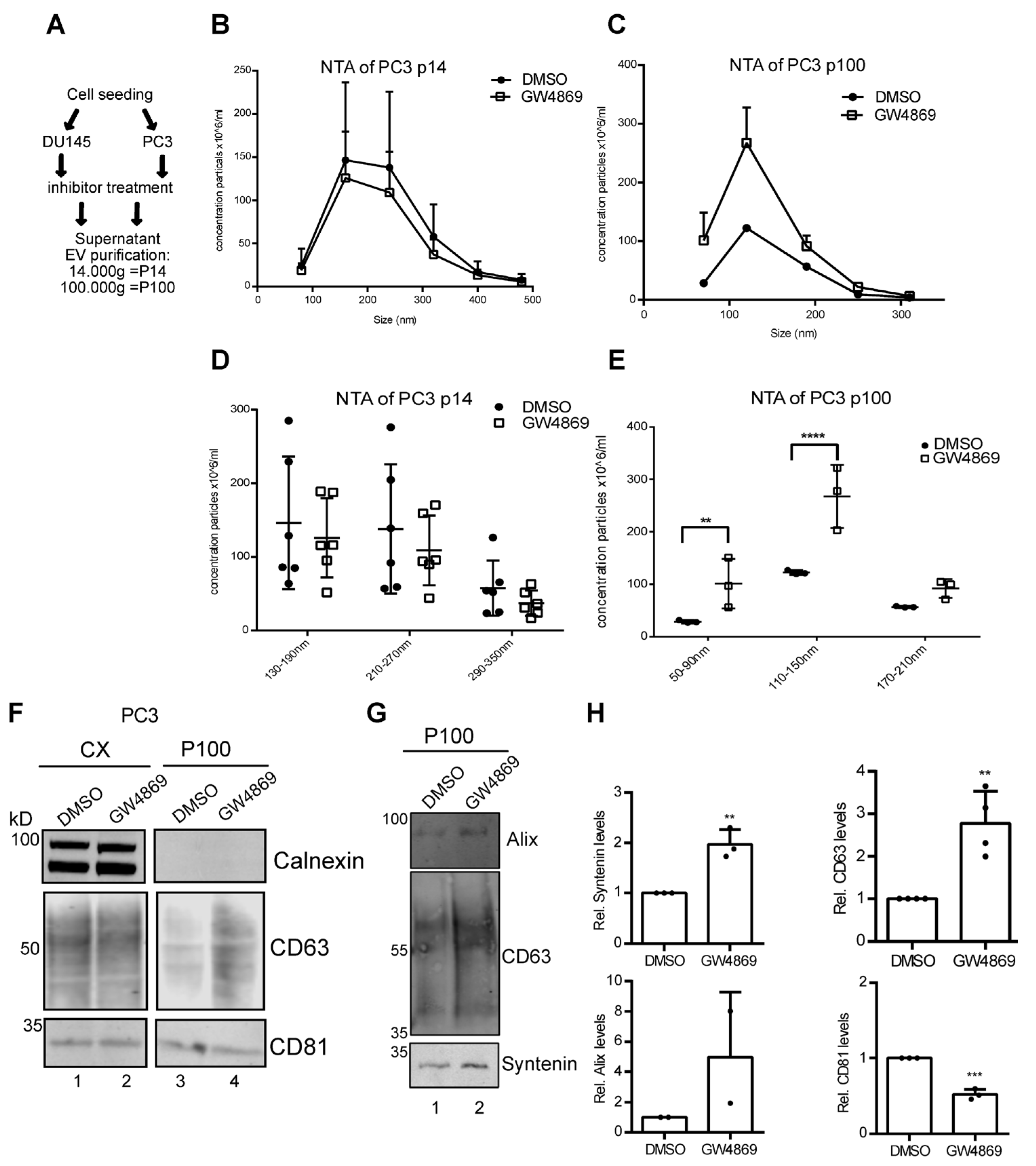 Cells 14 00547 g003 Cells 14 00547 g003