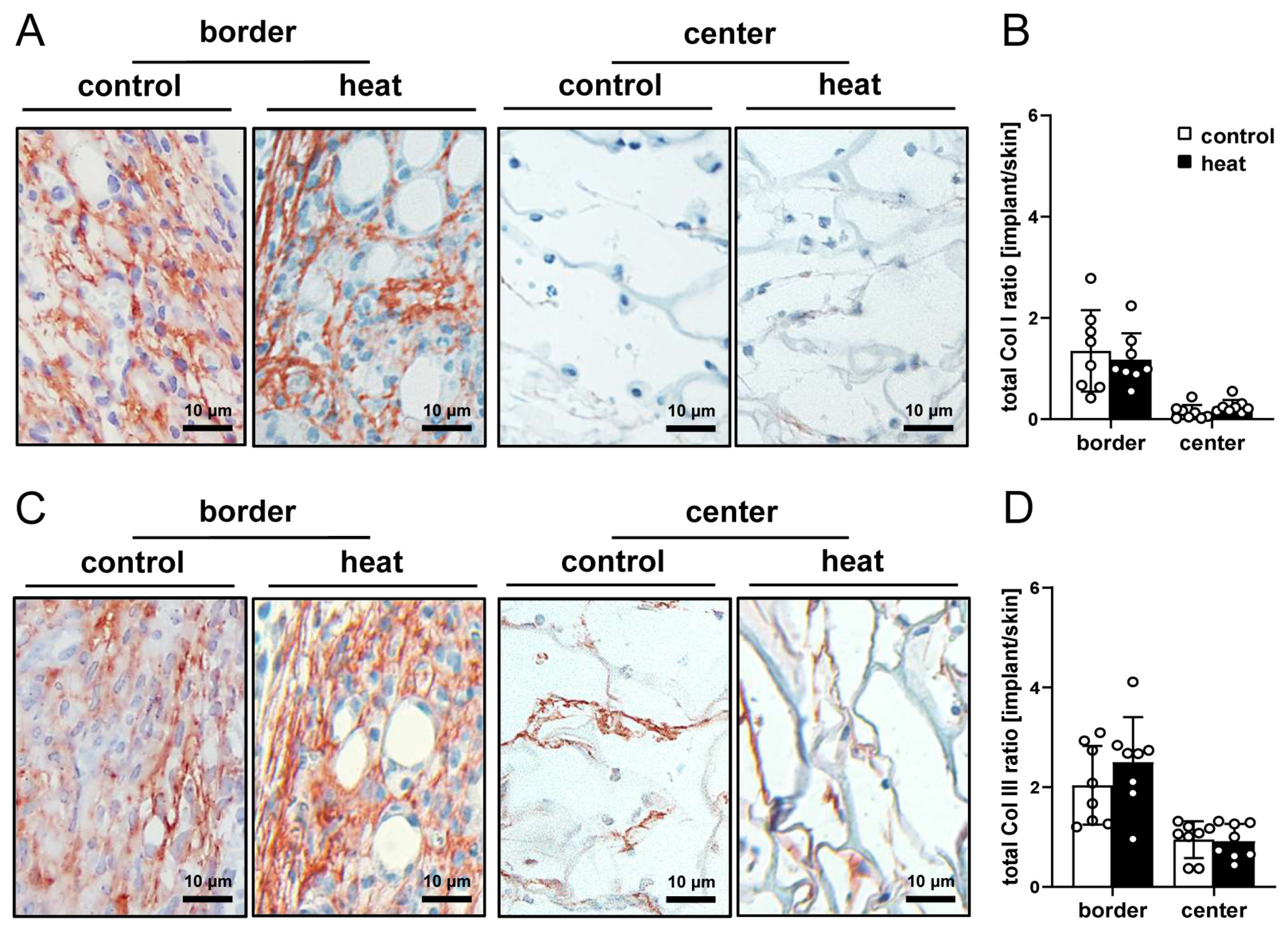 Cells 14 00581 g005 Cells 14 00581 g005