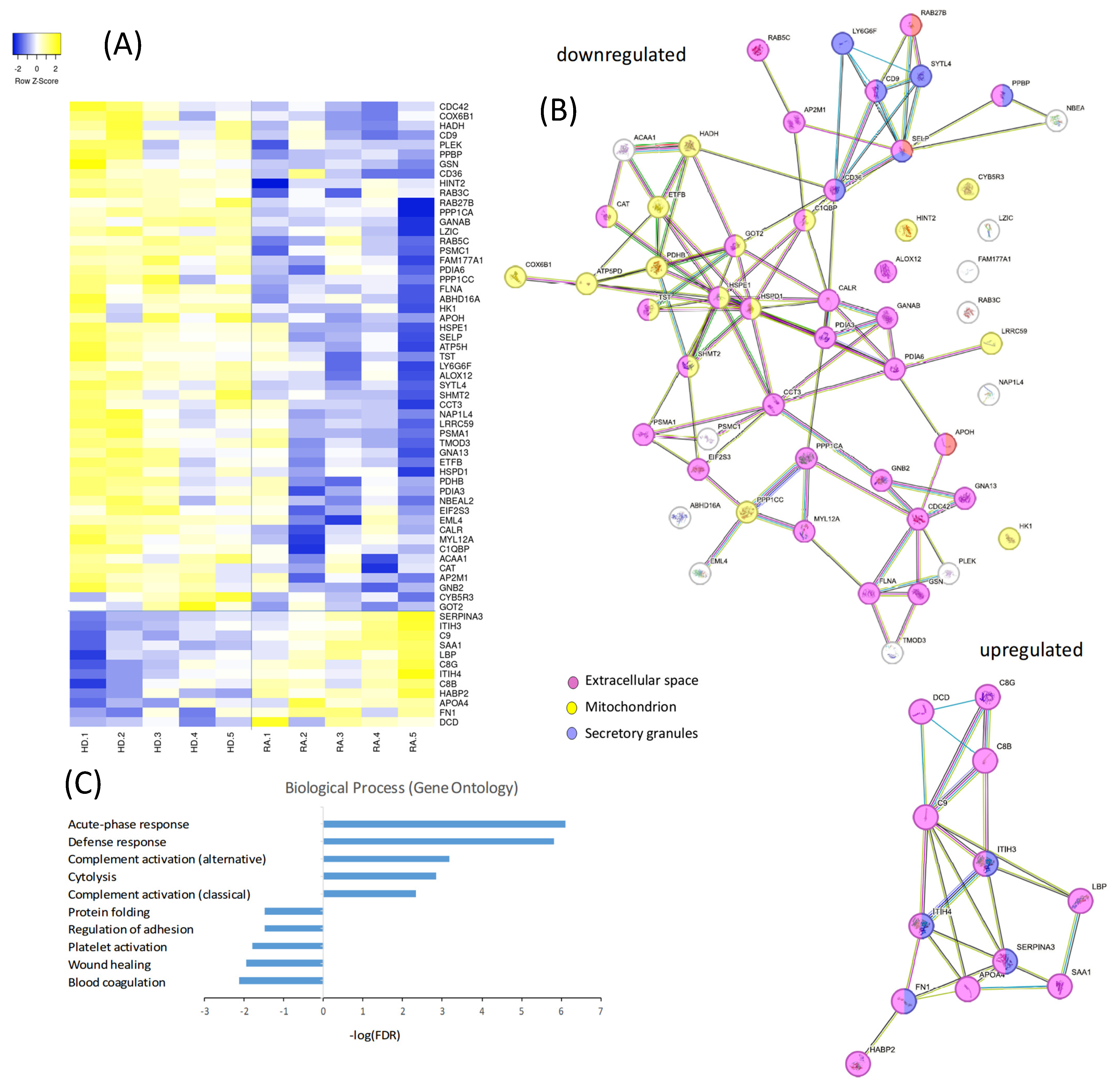 Cells 14 00625 g003 Cells 14 00625 g003