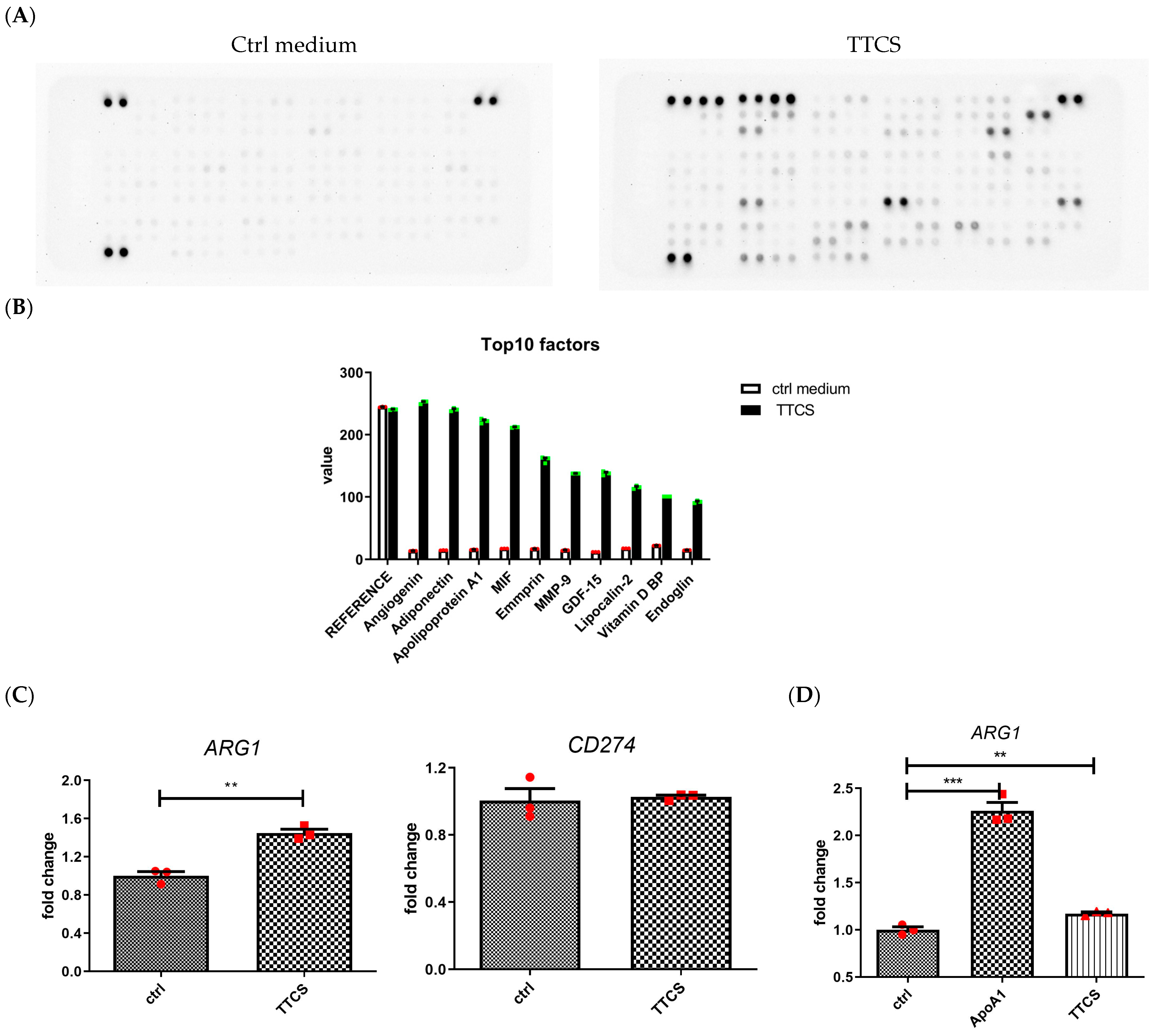 Cells 14 00660 g001a