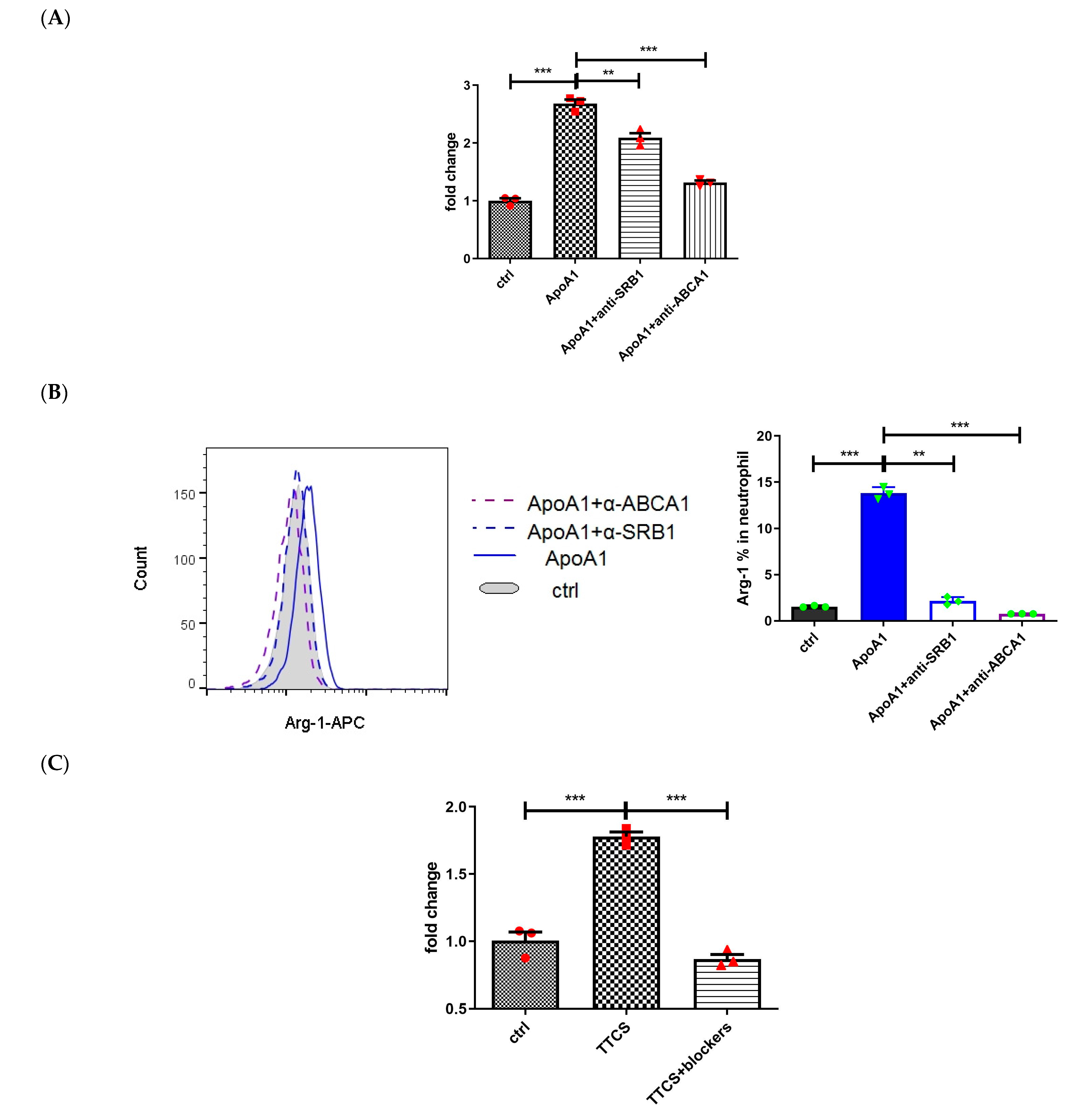 Cells 14 00660 g002a