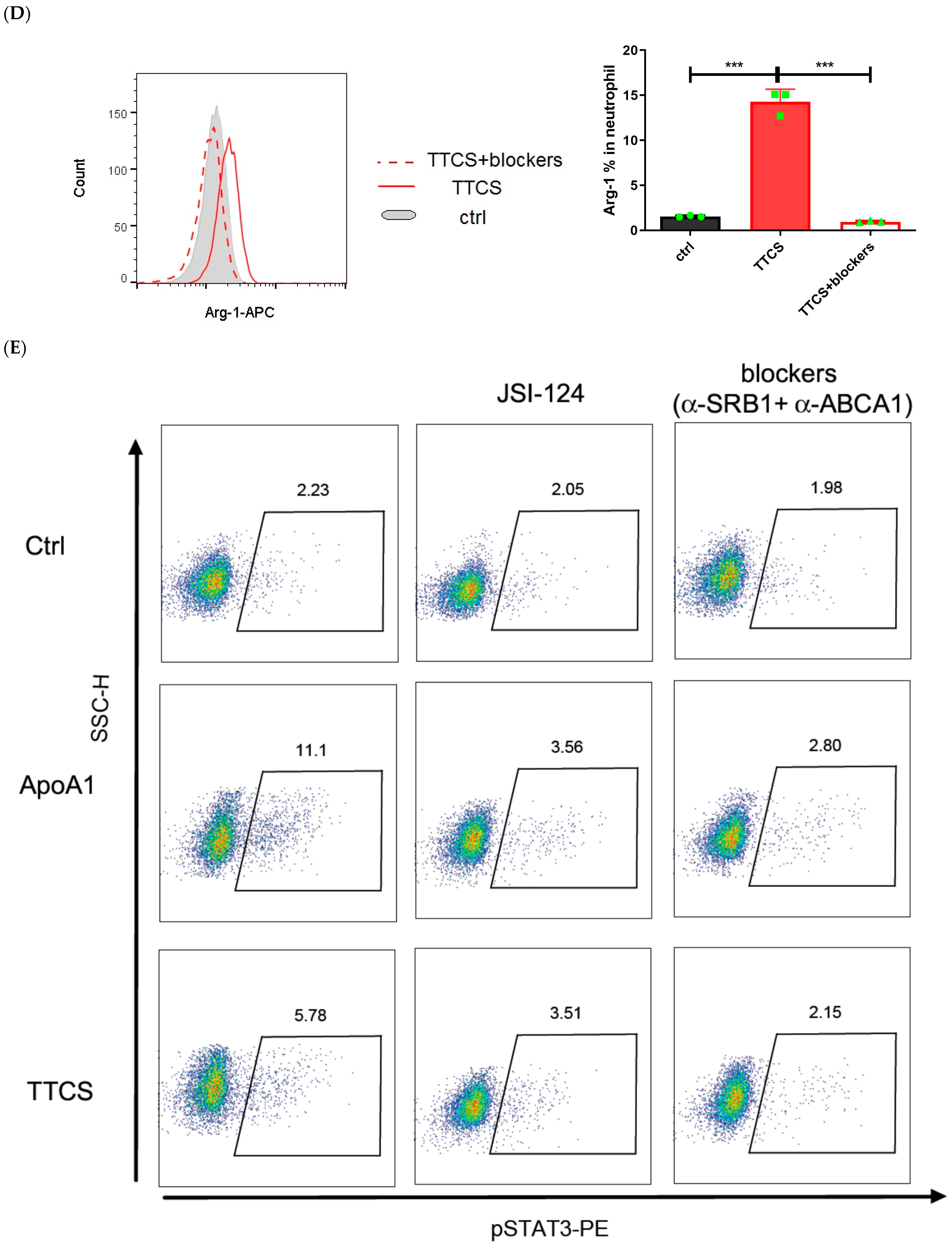 Cells 14 00660 g002b