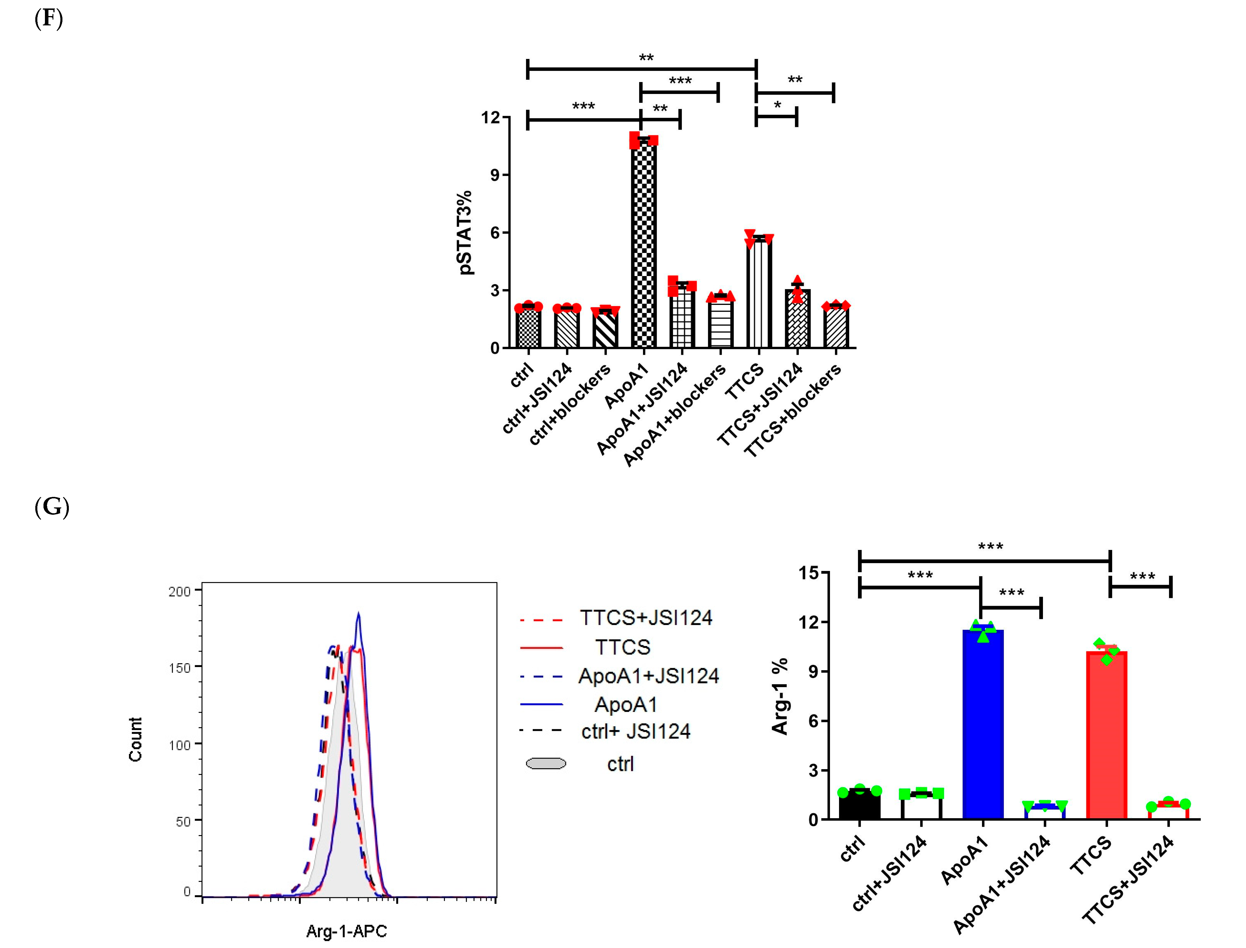 Cells 14 00660 g002c