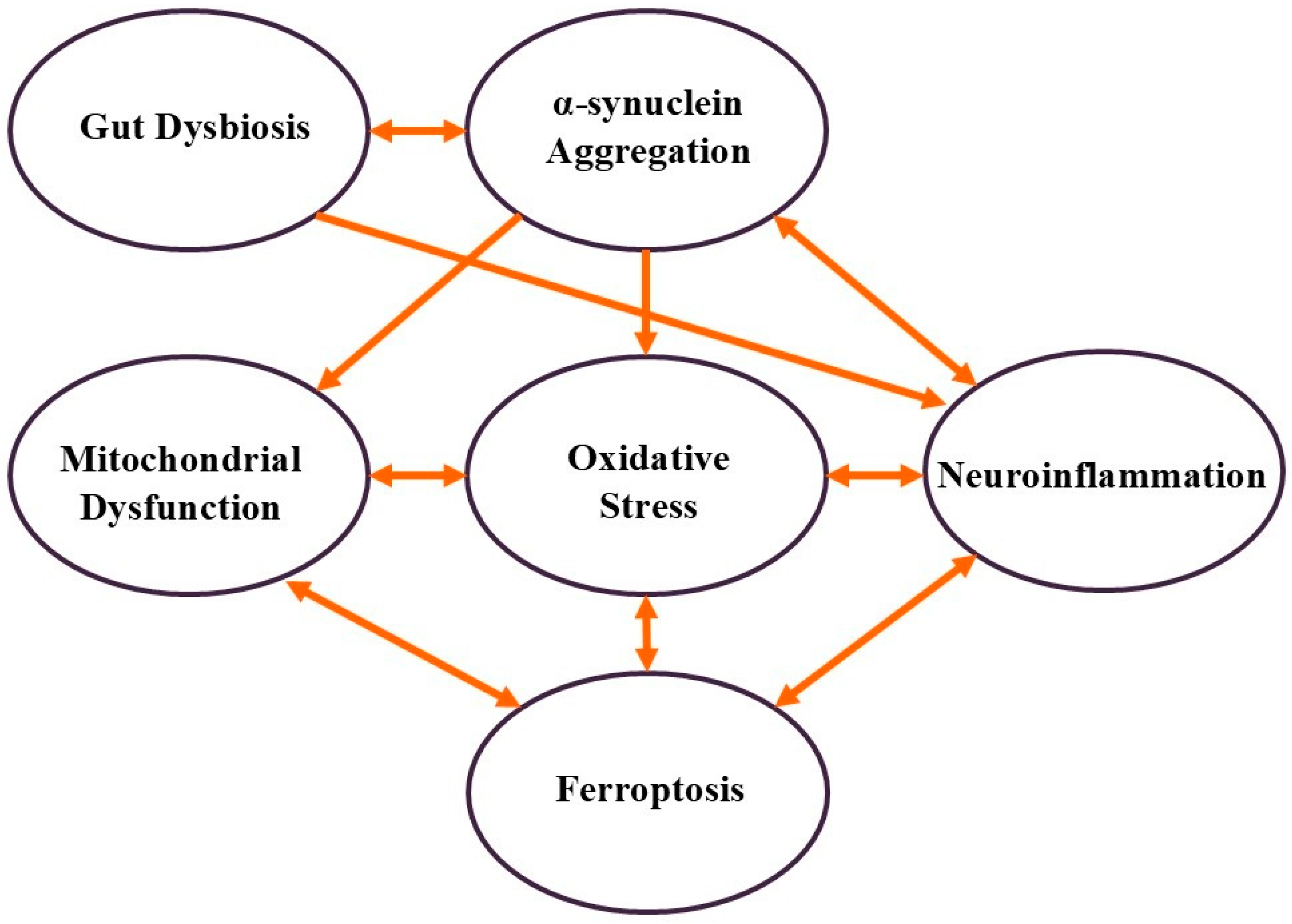 Cells 14 00710 g001 Cells 14 00710 g001