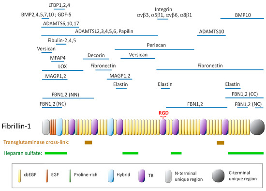 Cells 14 00764 g002