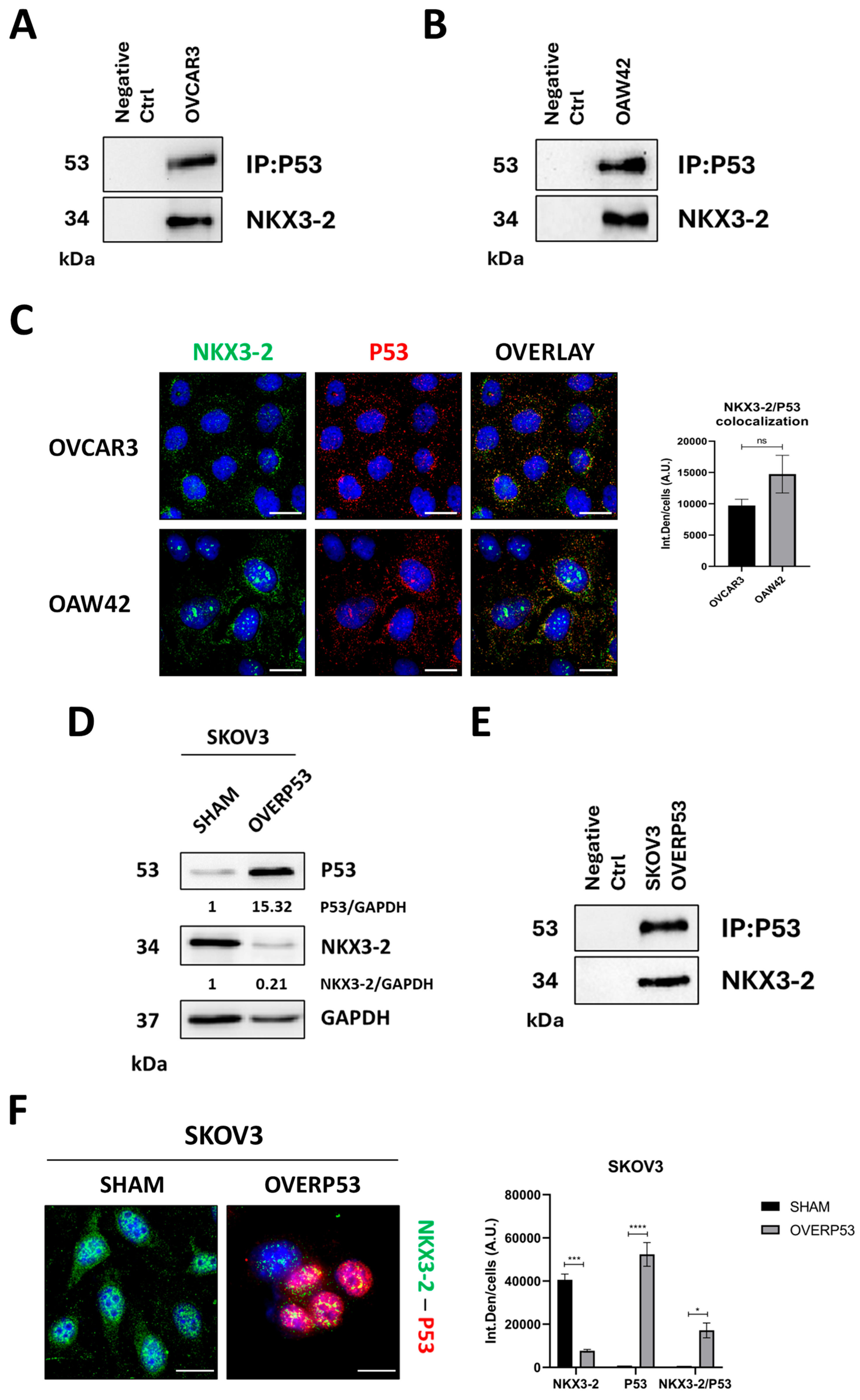 Cells 14 00765 g003