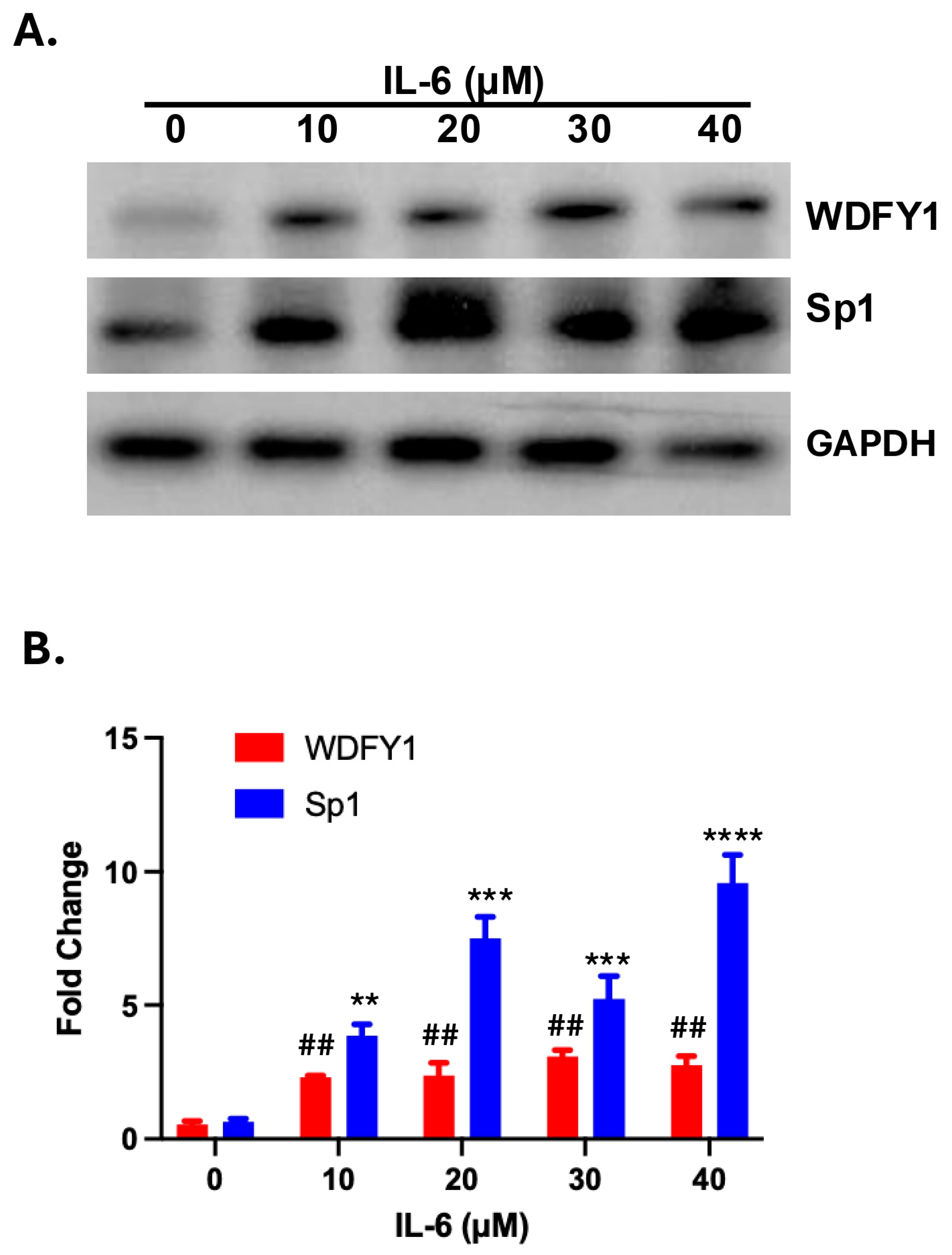 Cells 14 00798 g004