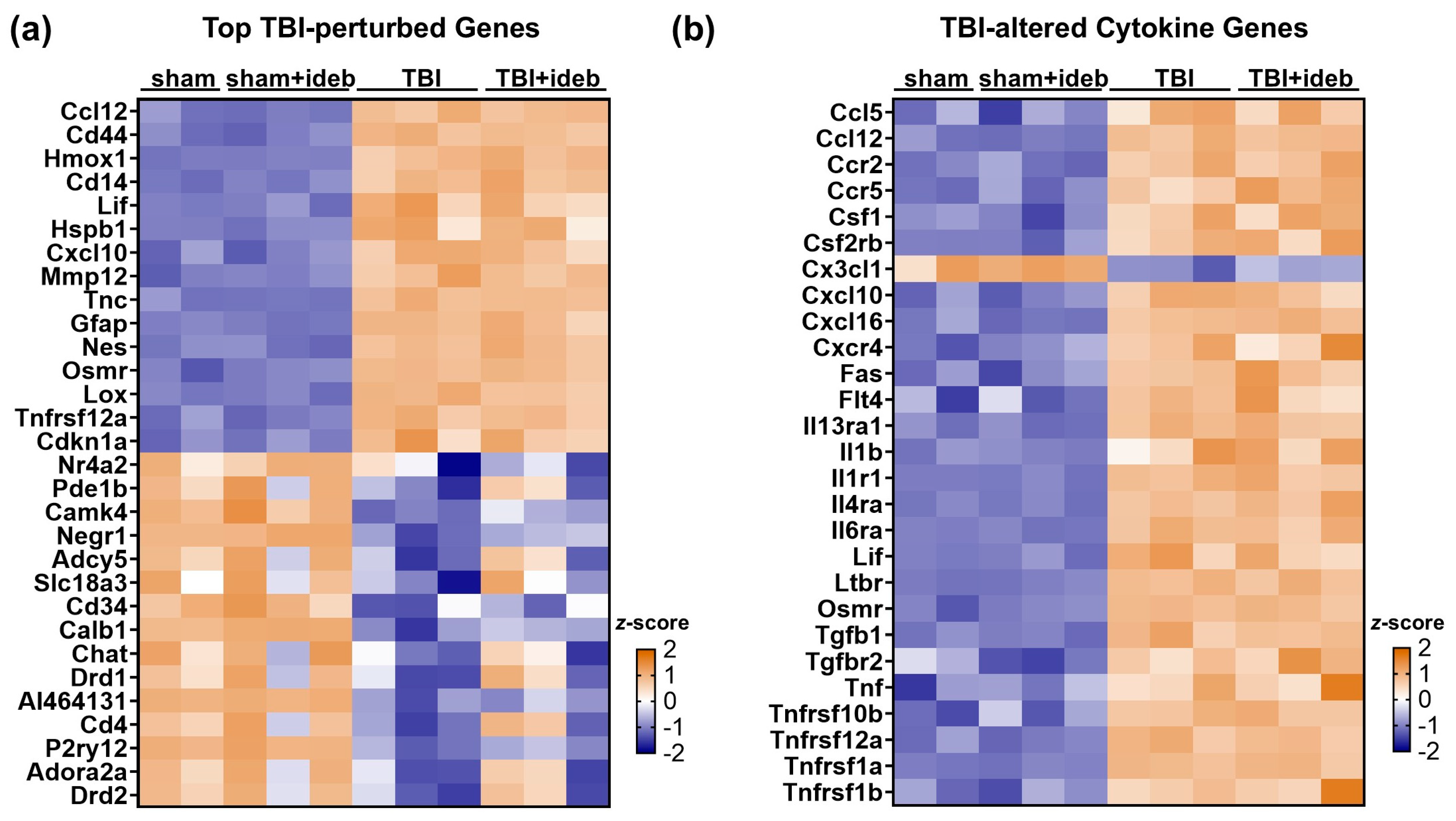 Cells 14 00824 g001 Cells 14 00824 g001