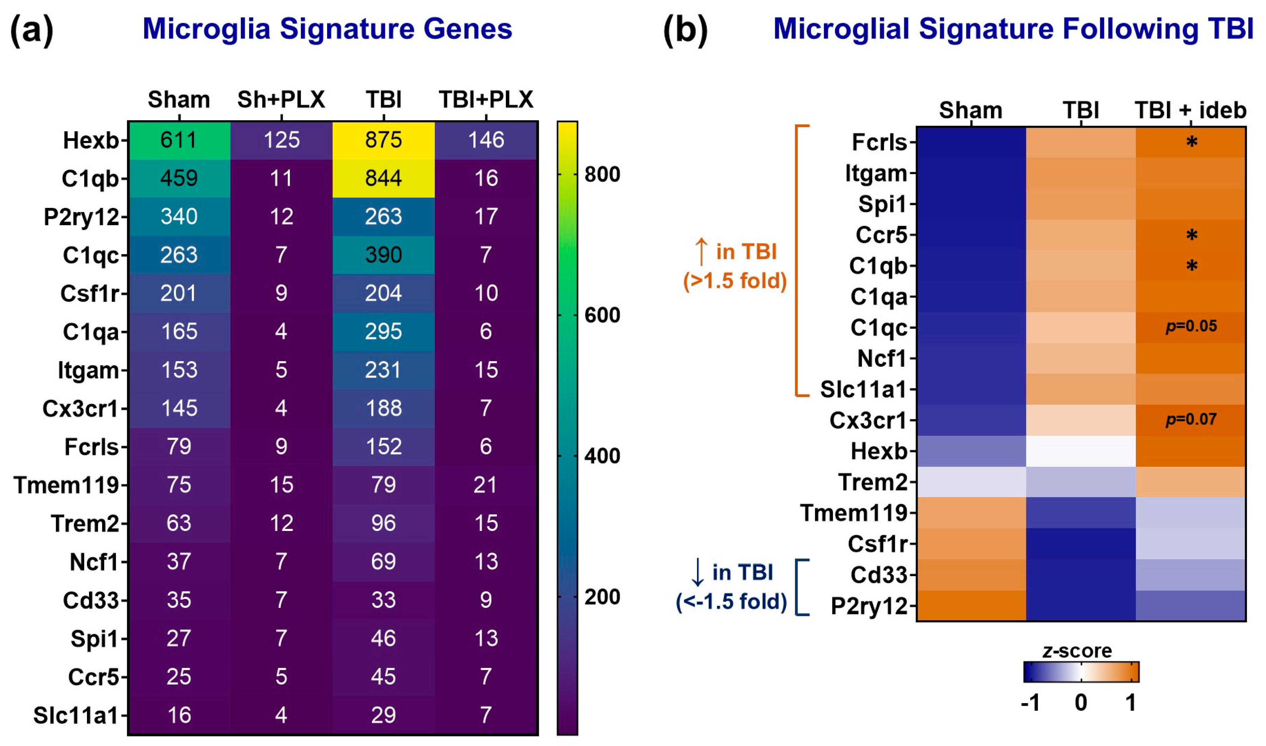 Cells 14 00824 g003 Cells 14 00824 g003