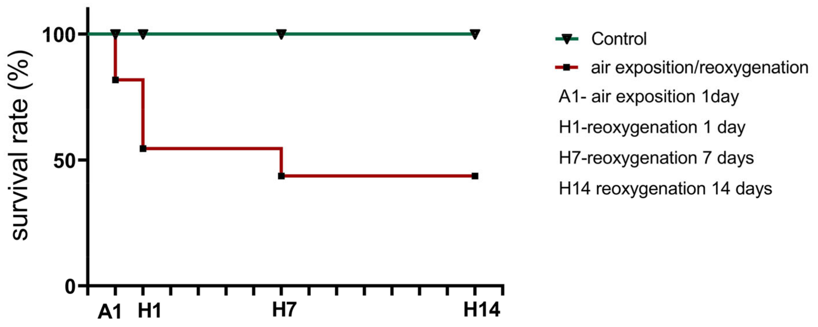 Cells 14 00827 g001 Cells 14 00827 g001