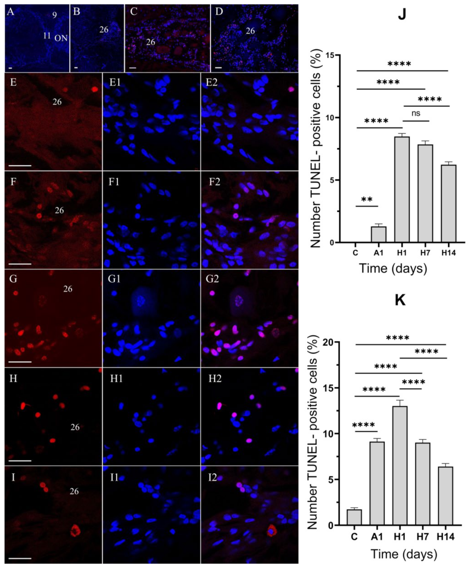 Cells 14 00827 g008 Cells 14 00827 g008