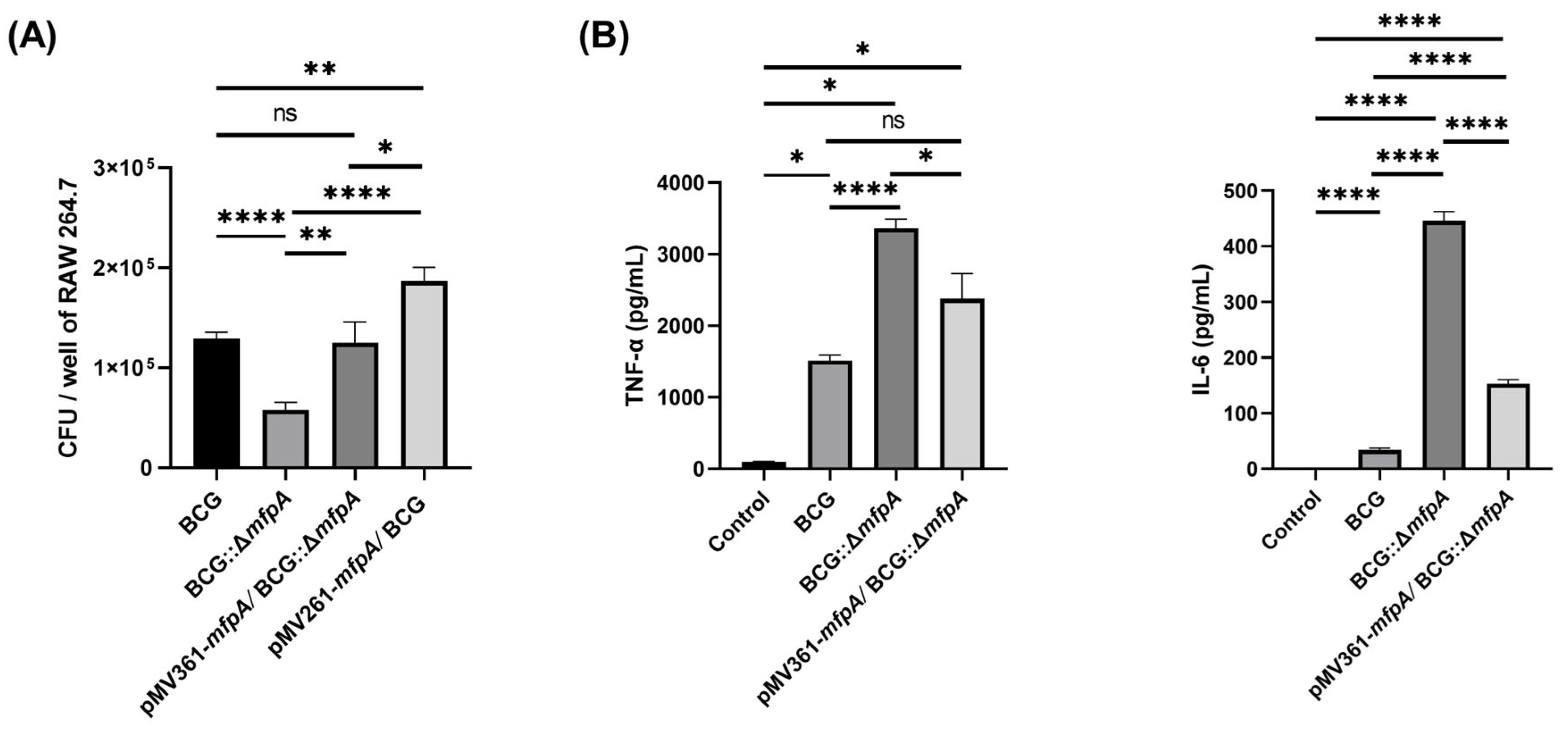 Cells 14 00867 g002 Cells 14 00867 g002