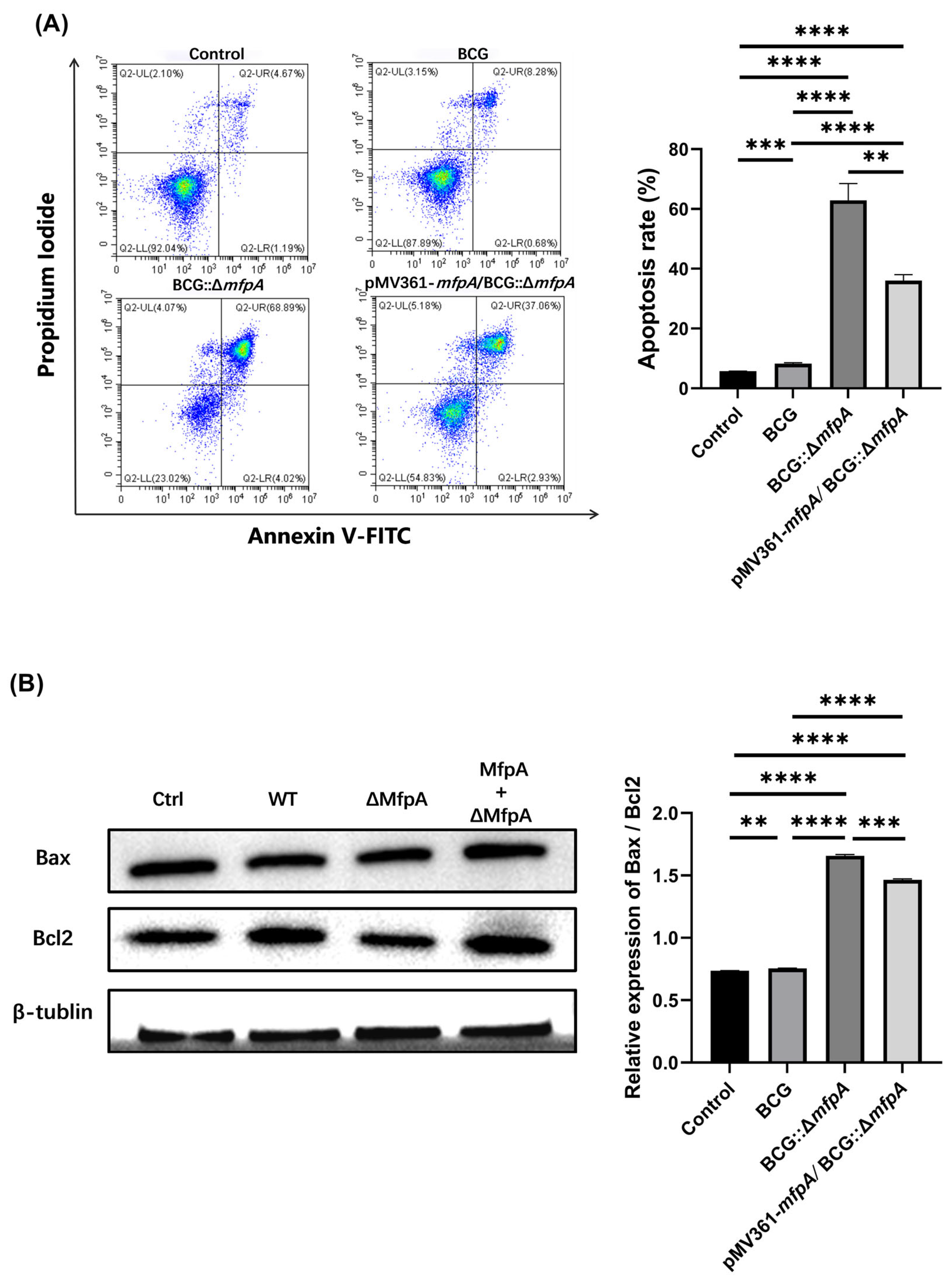 Cells 14 00867 g003a Cells 14 00867 g003a