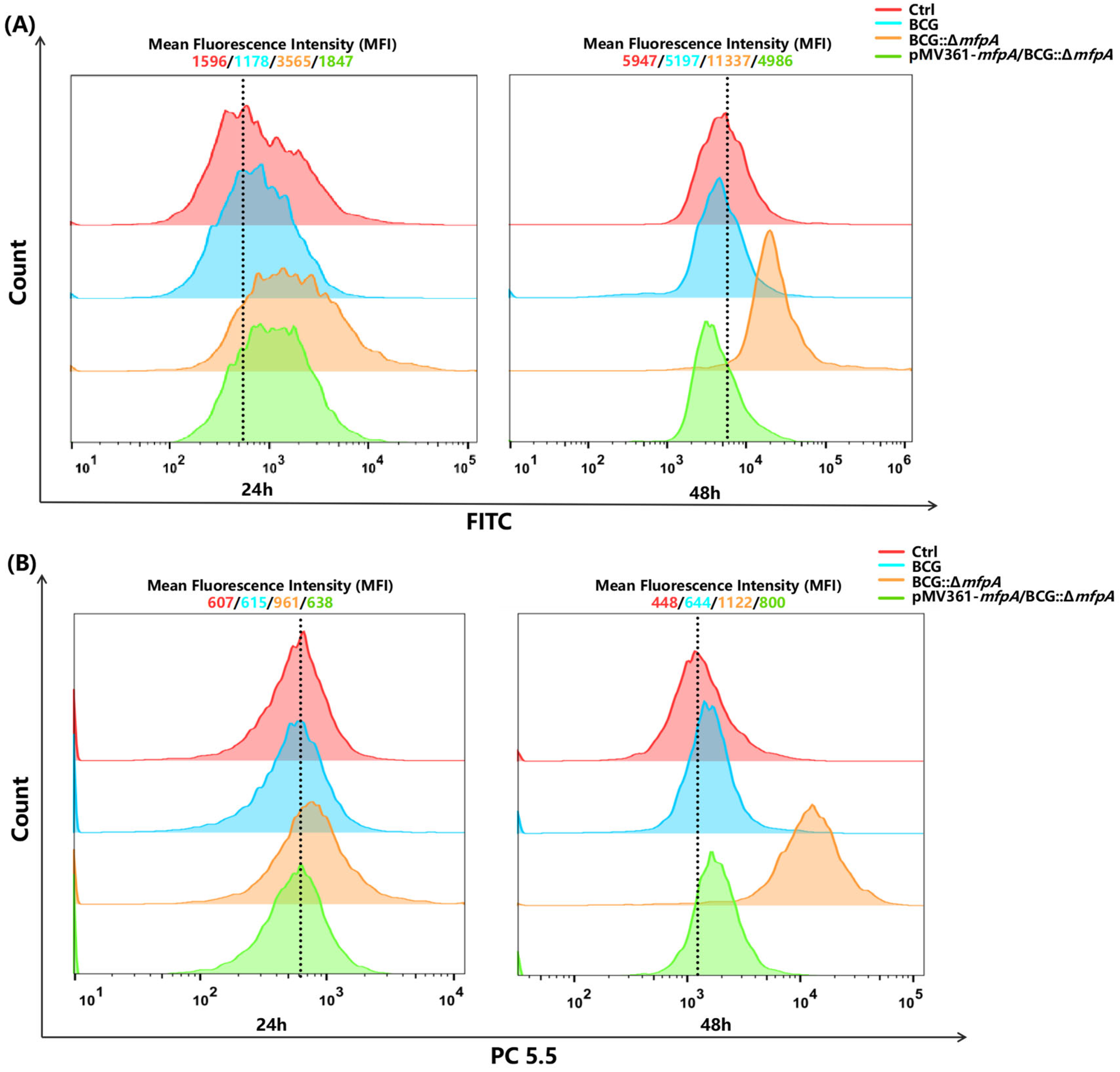 Cells 14 00867 g006 Cells 14 00867 g006