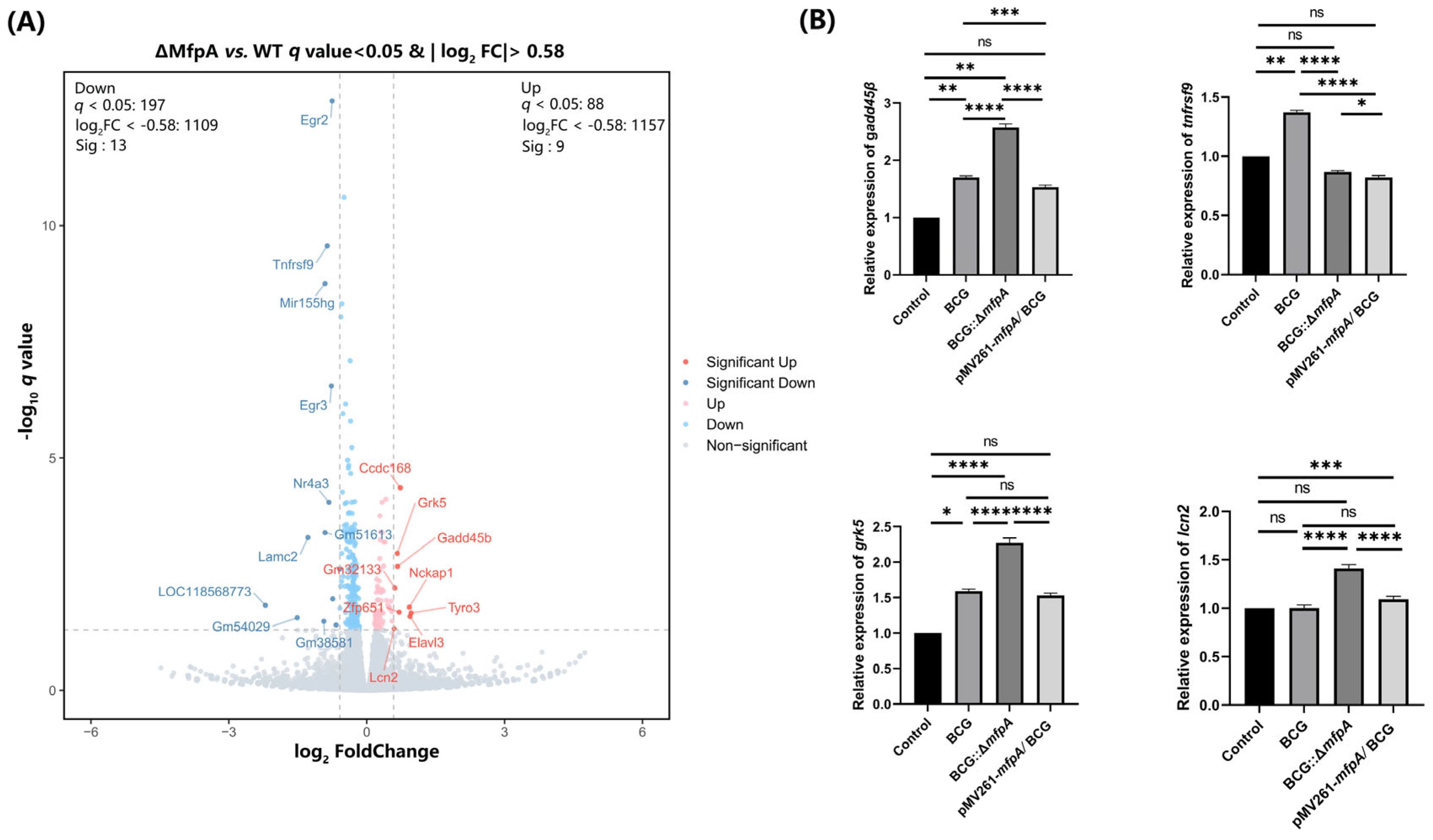 Cells 14 00867 g007 Cells 14 00867 g007