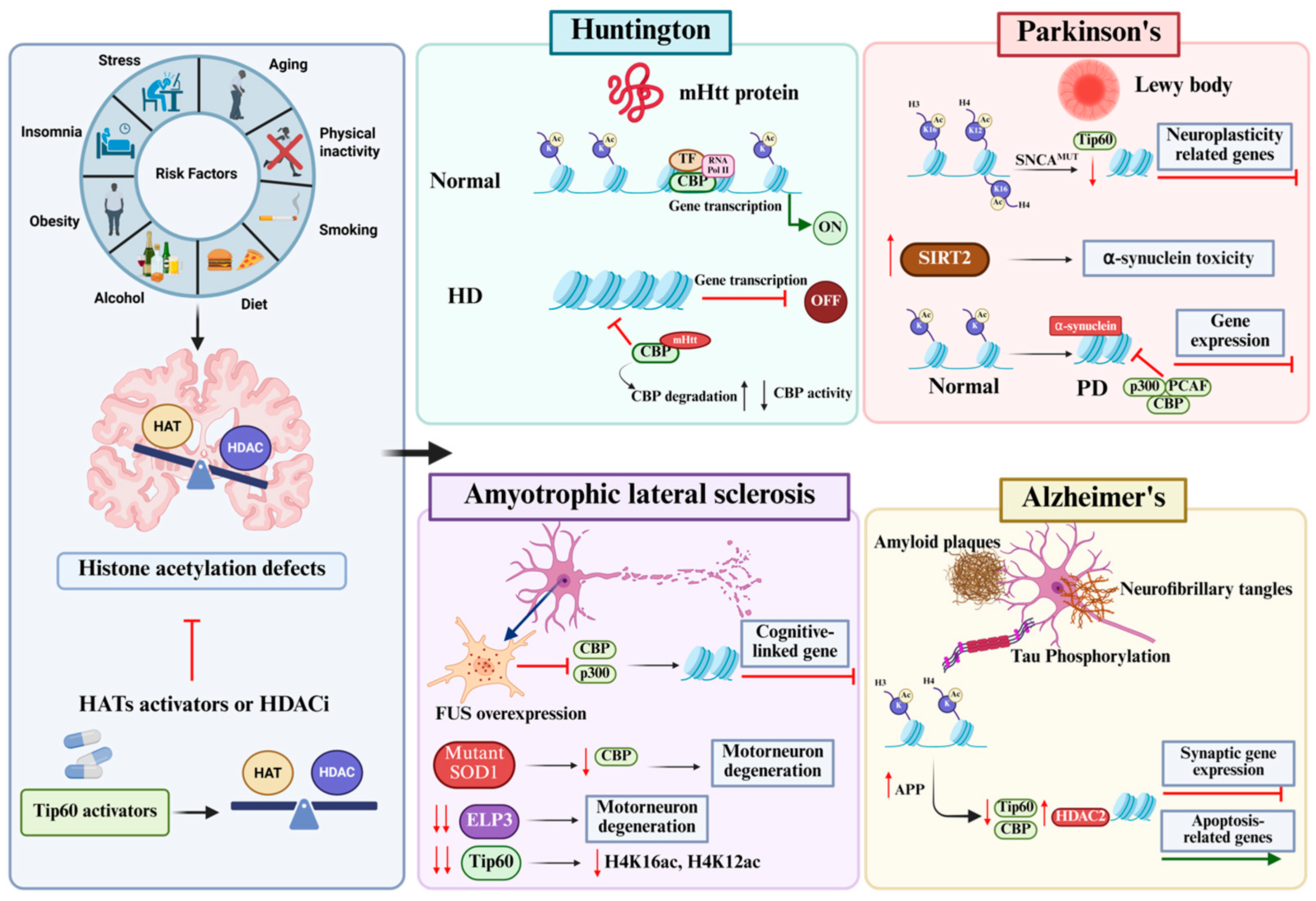Cells 14 00873 g002 Cells 14 00873 g002