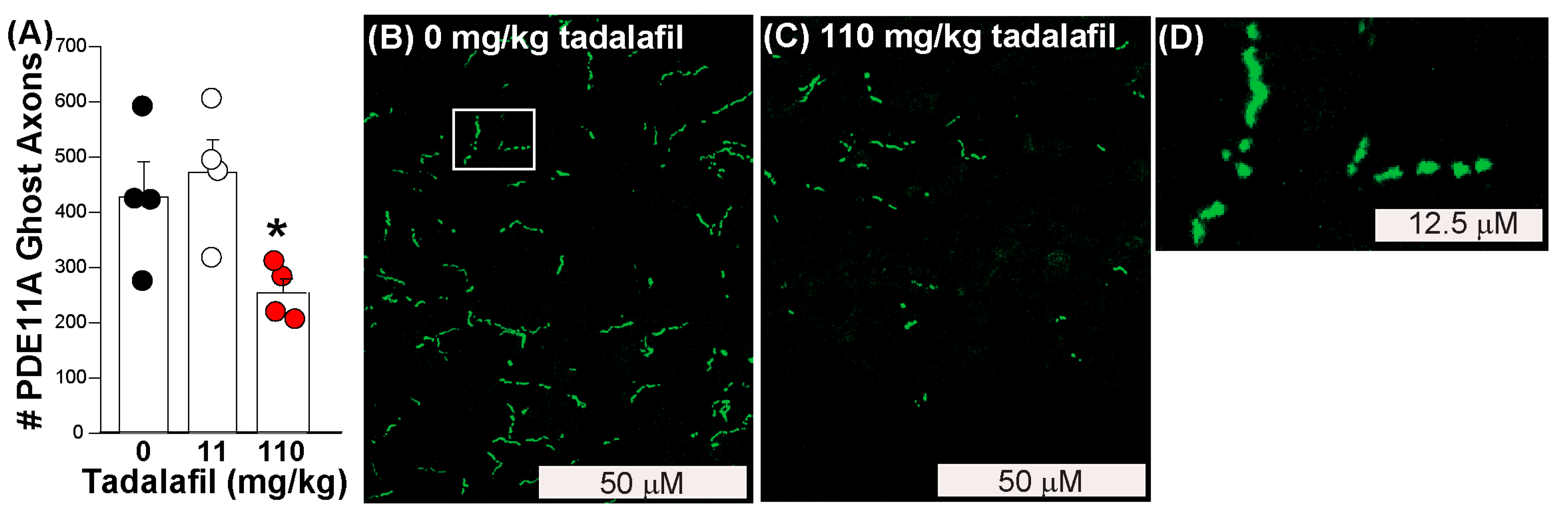 Cells 14 00897 g004 Cells 14 00897 g004