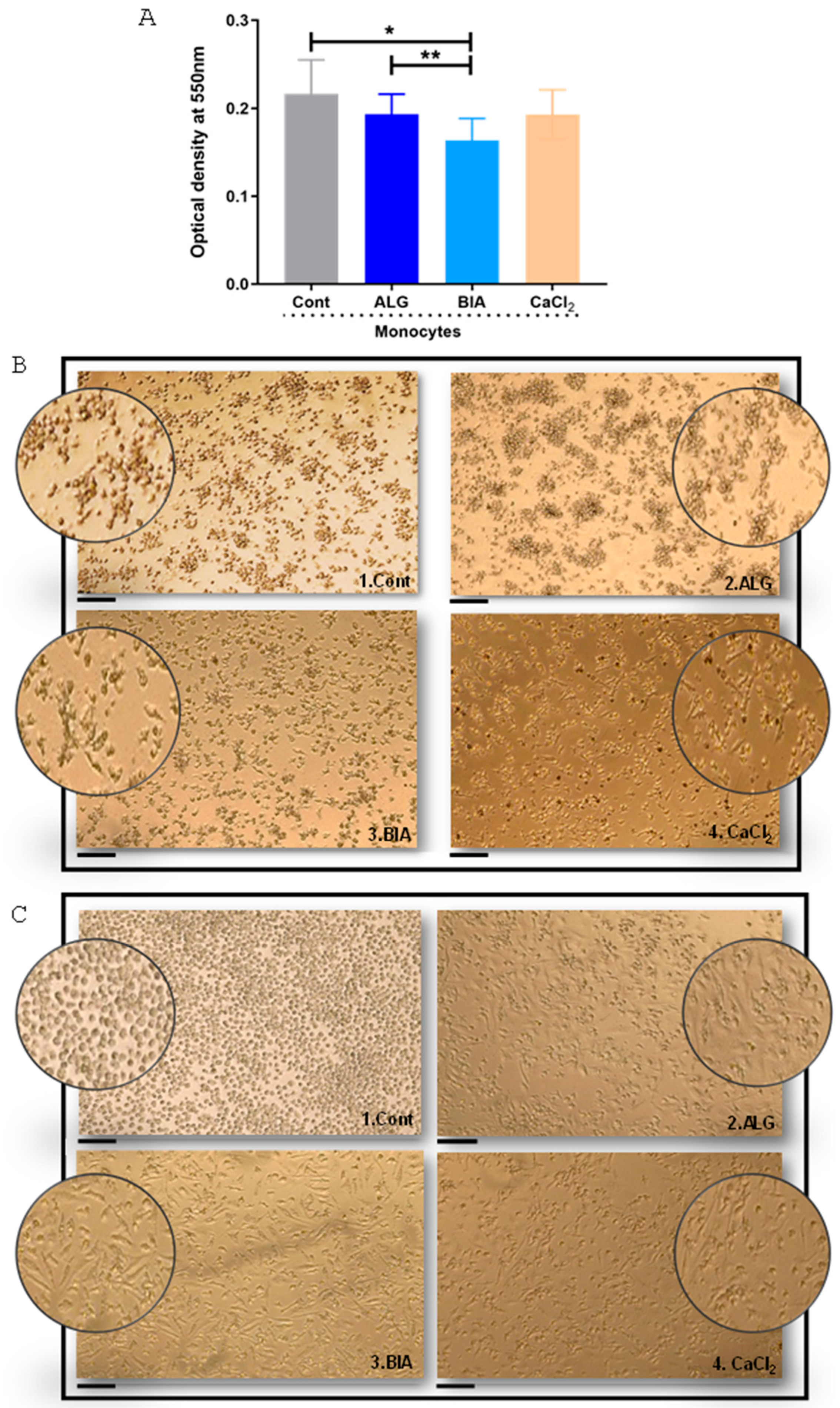 Cells 14 00909 g001 Cells 14 00909 g001