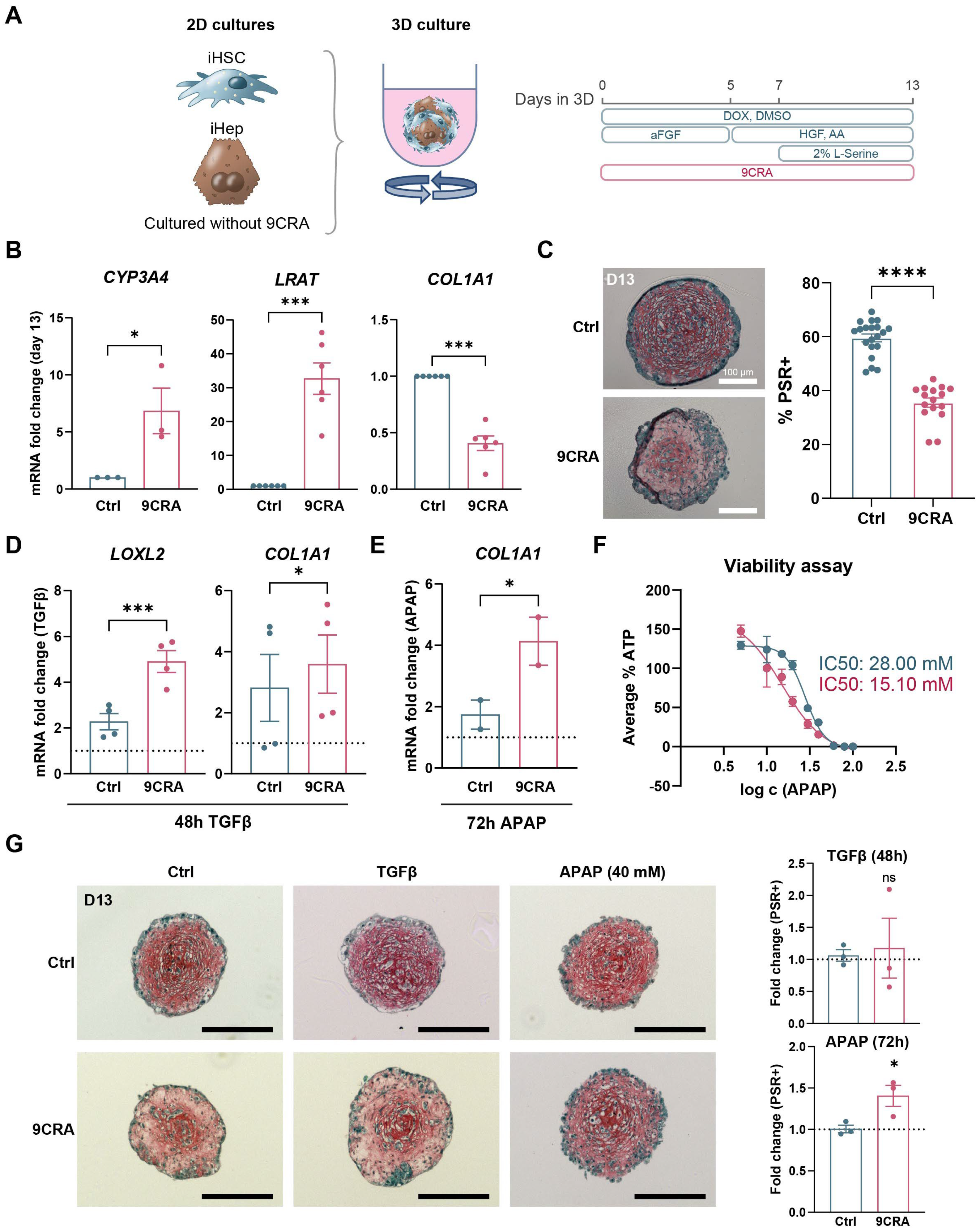 Cells 14 00983 g006 Cells 14 00983 g006
