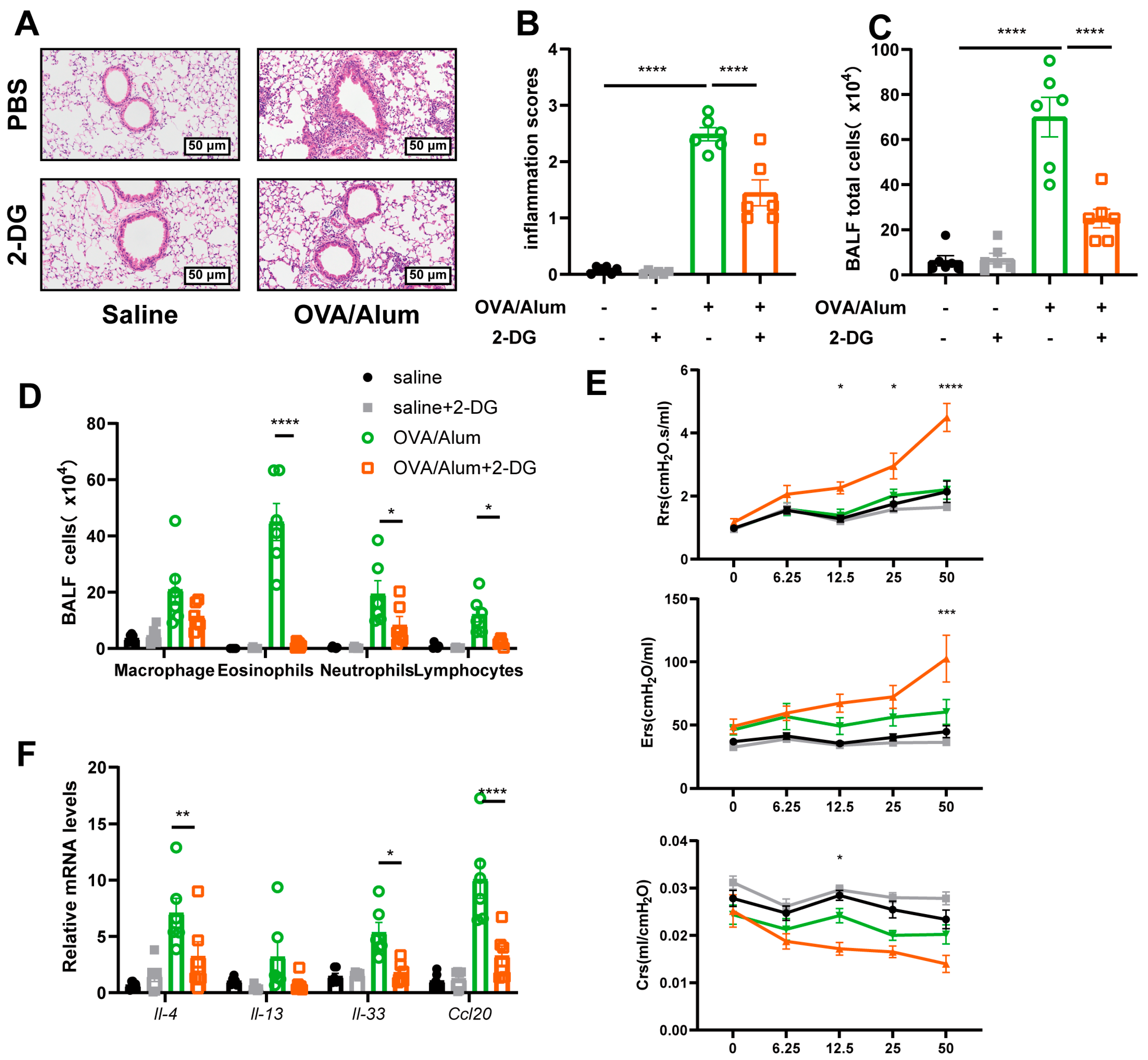 Cells 14 01004 g008 Cells 14 01004 g008
