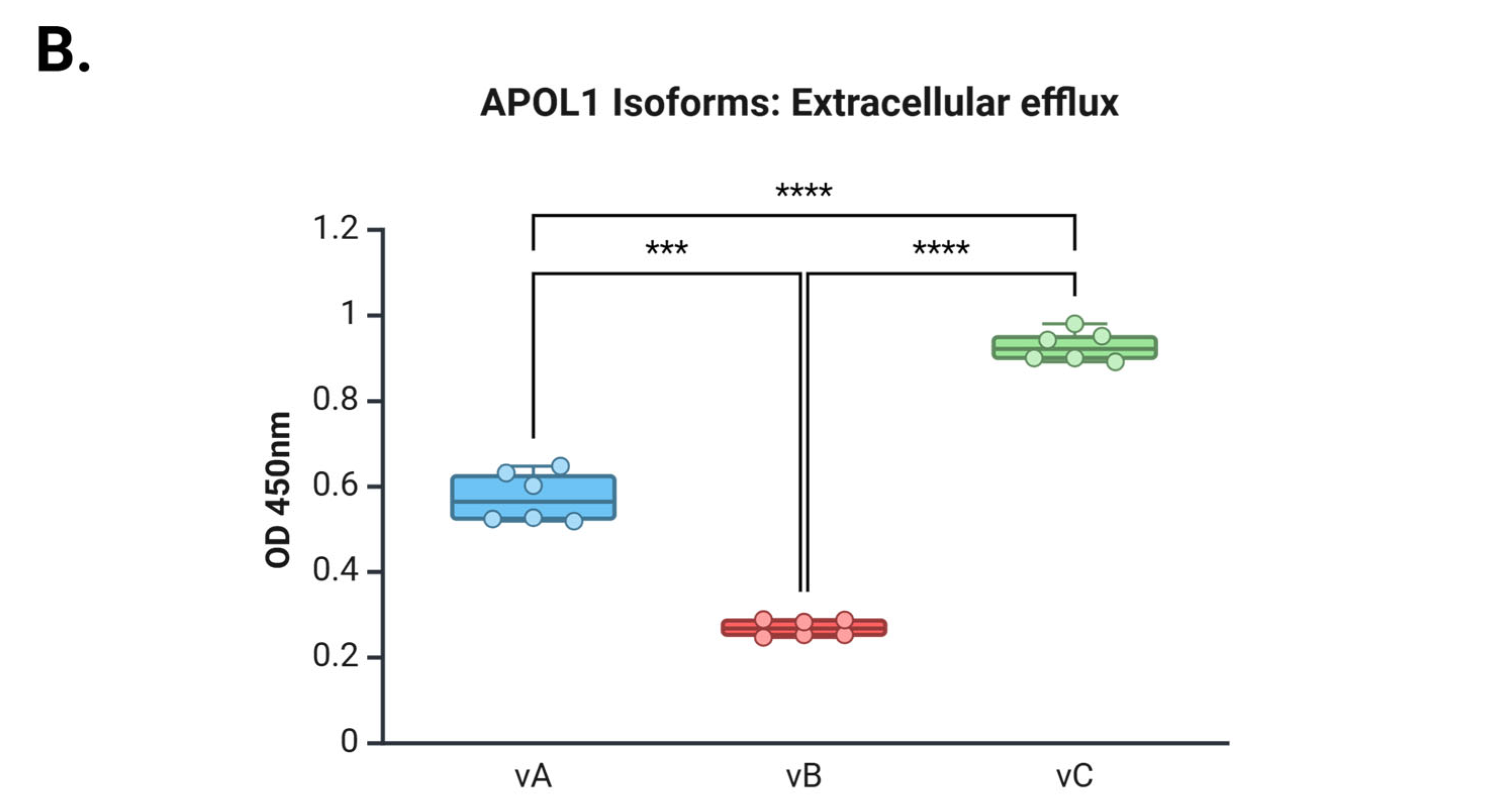 Cells 14 01011 g003b