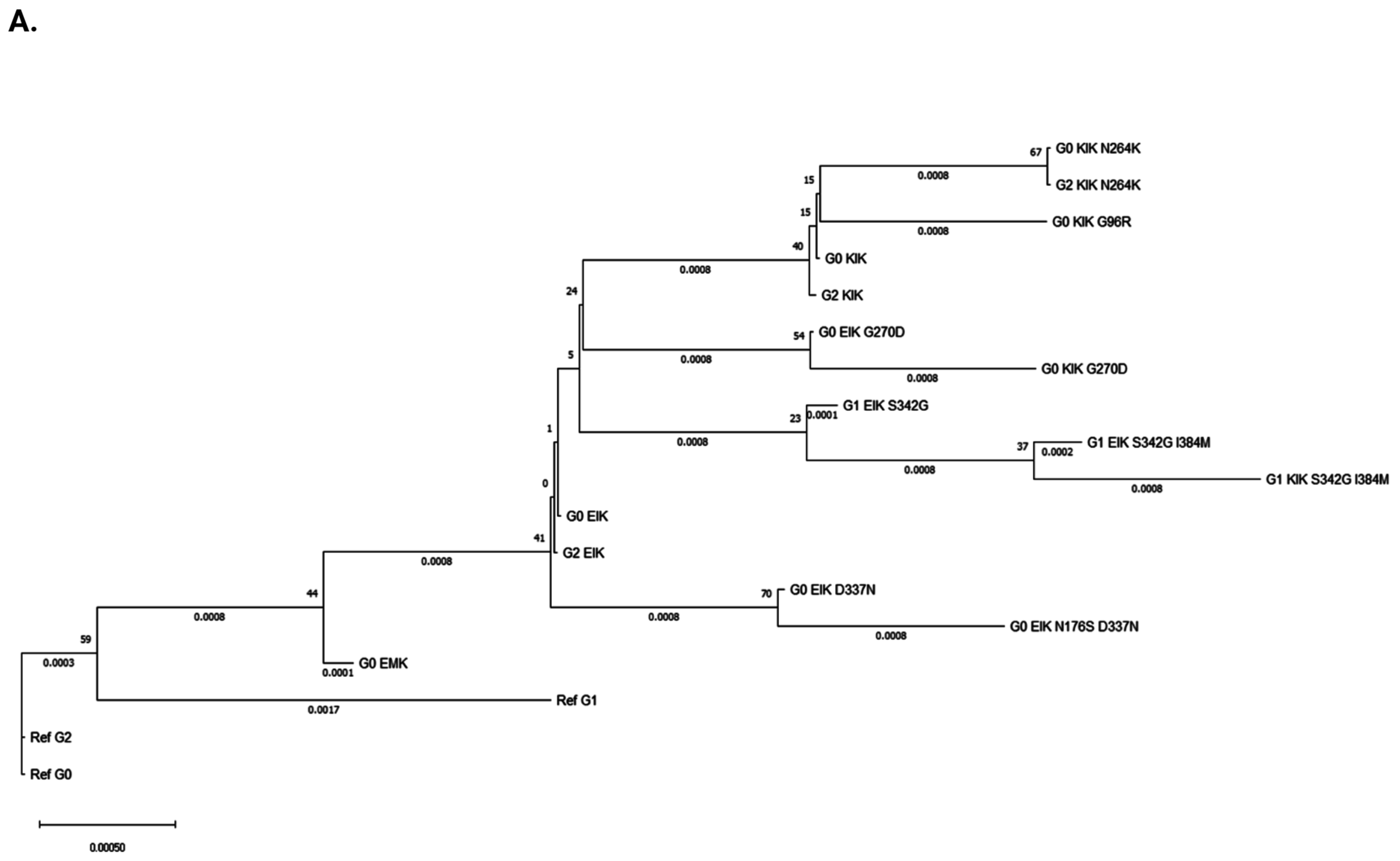 Cells 14 01011 g004a