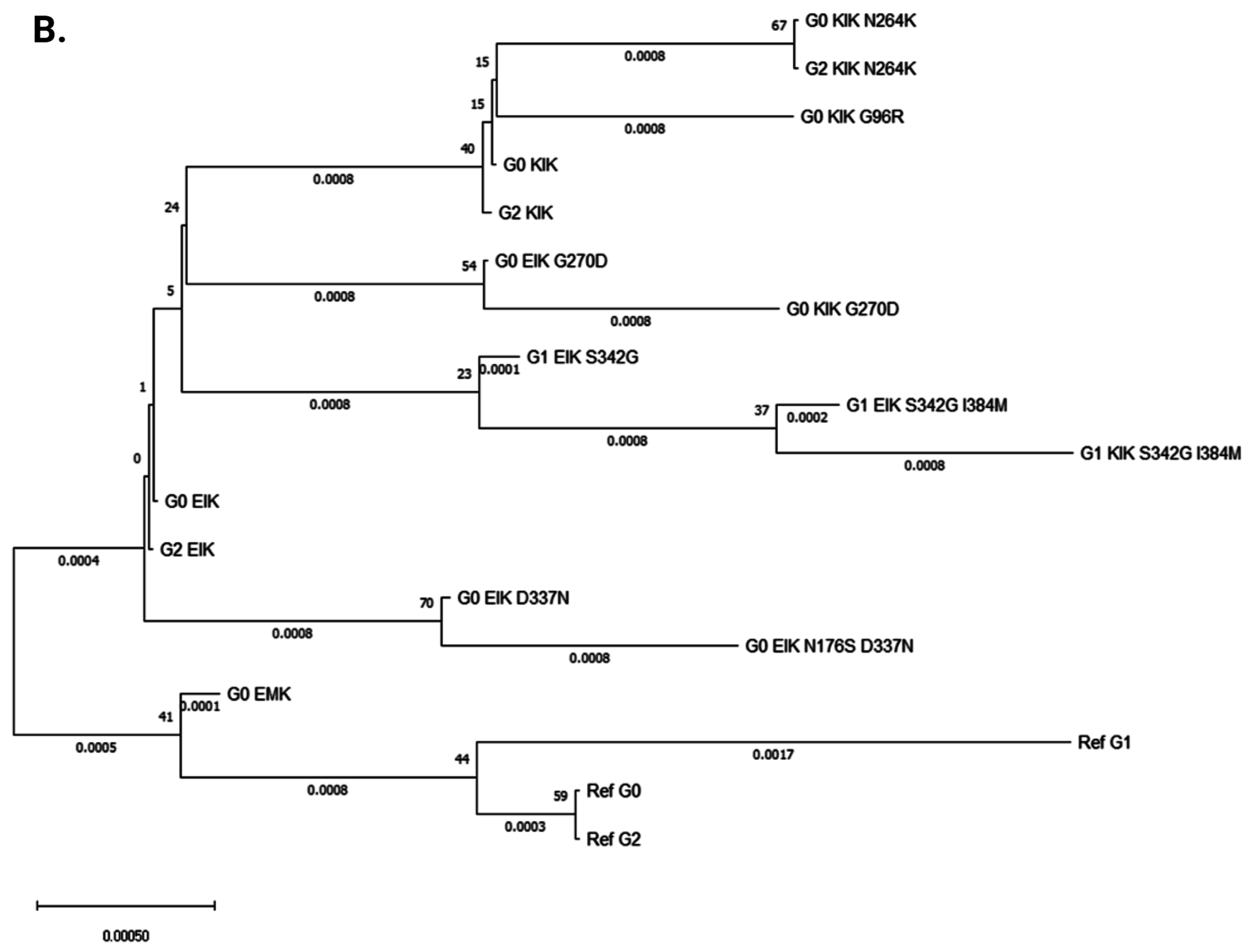 Cells 14 01011 g004b
