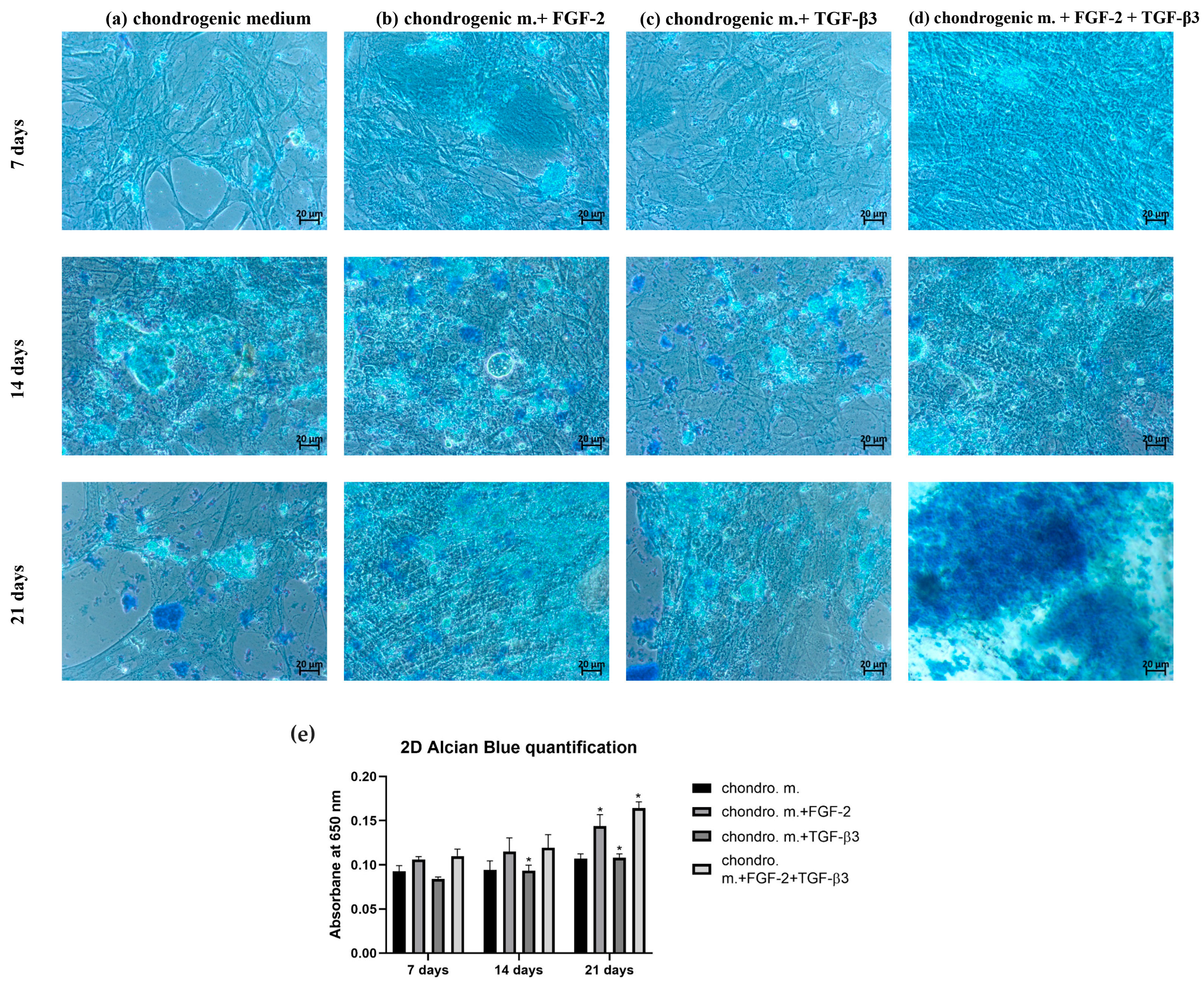 Cells 14 01013 g003 Cells 14 01013 g003