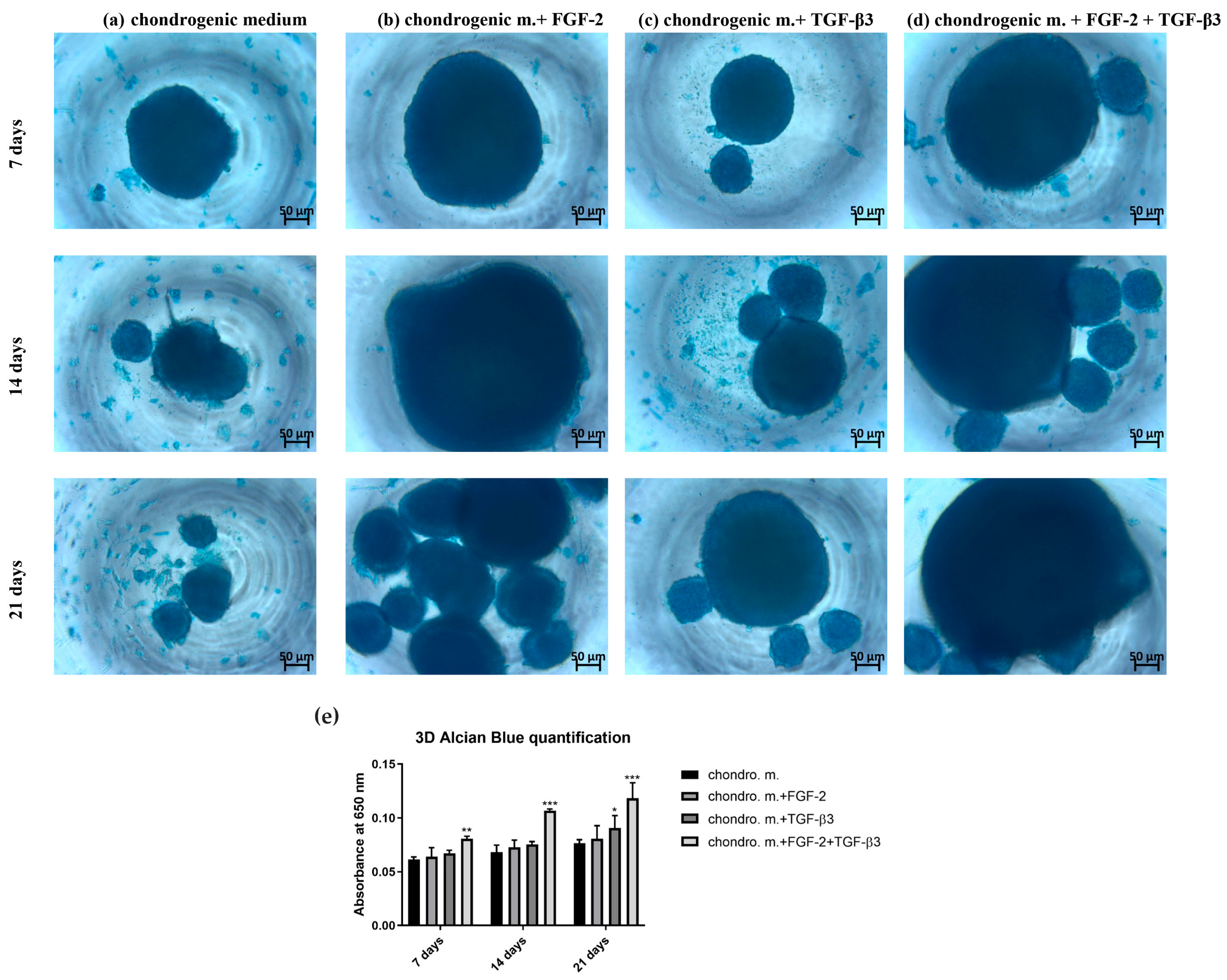 Cells 14 01013 g004 Cells 14 01013 g004