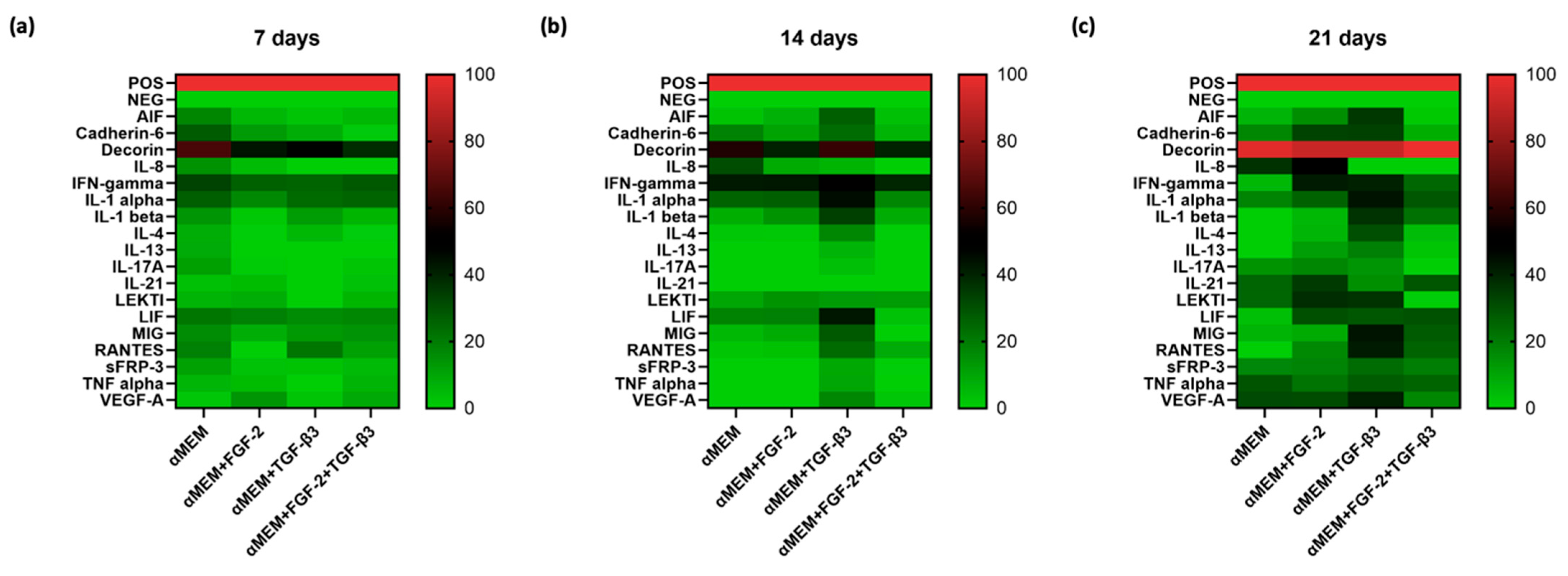 Cells 14 01013 g006 Cells 14 01013 g006