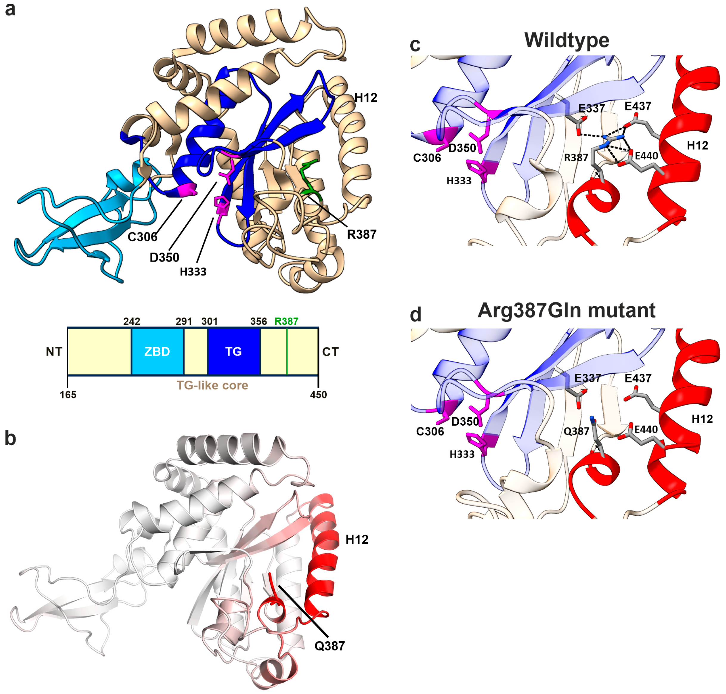 Cells 14 01036 g007 Cells 14 01036 g007