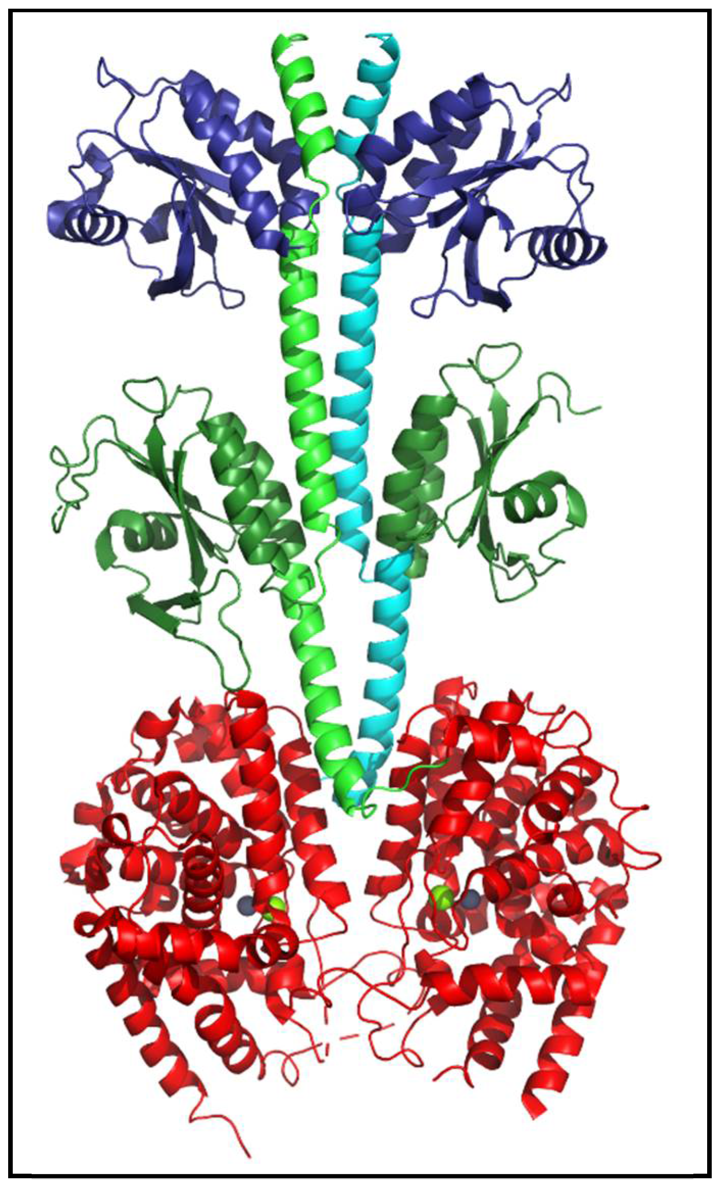 Cells 14 01174 g004 Cells 14 01174 g004