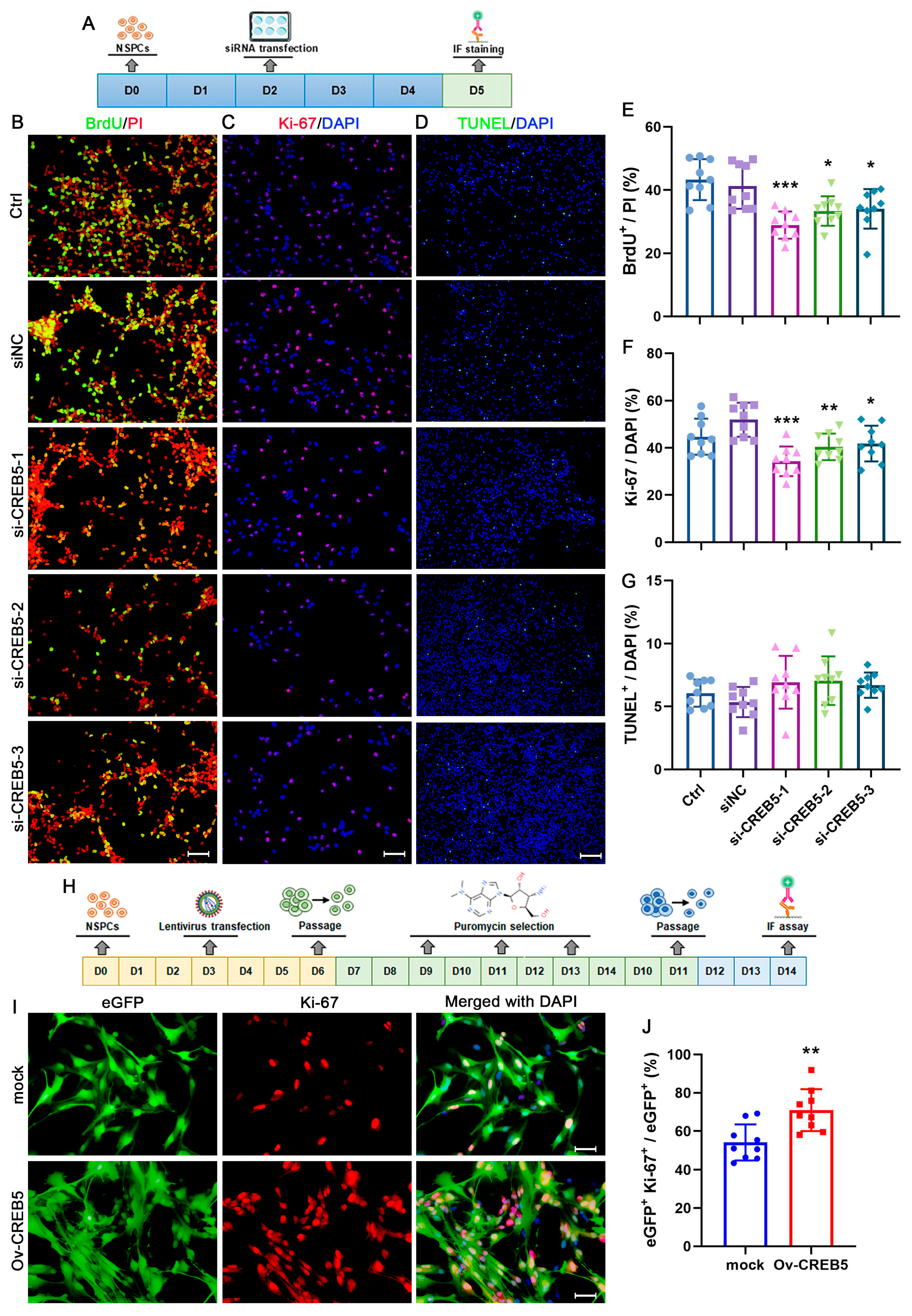 Cells 14 01240 g002 Cells 14 01240 g002
