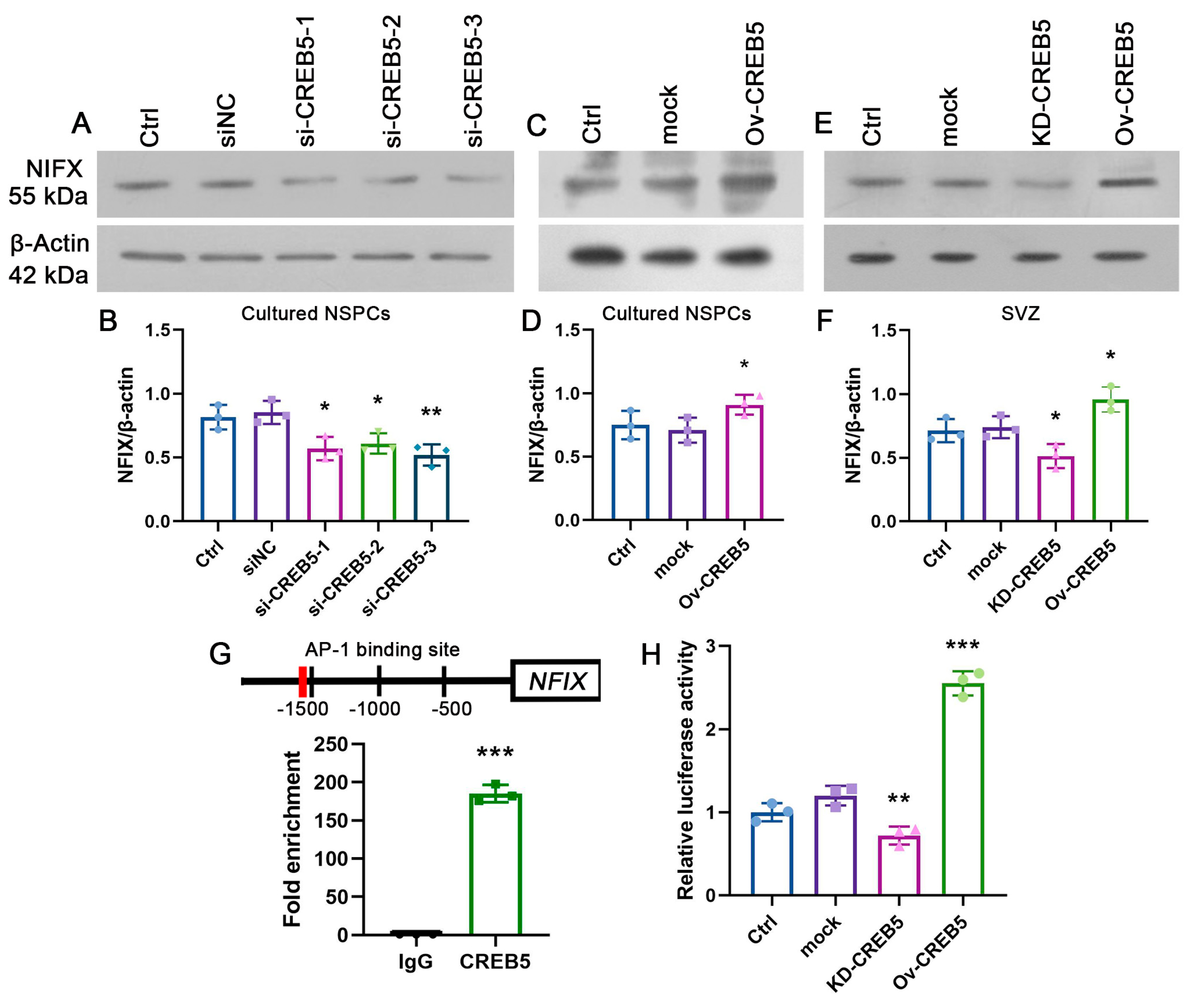 Cells 14 01240 g004 Cells 14 01240 g004