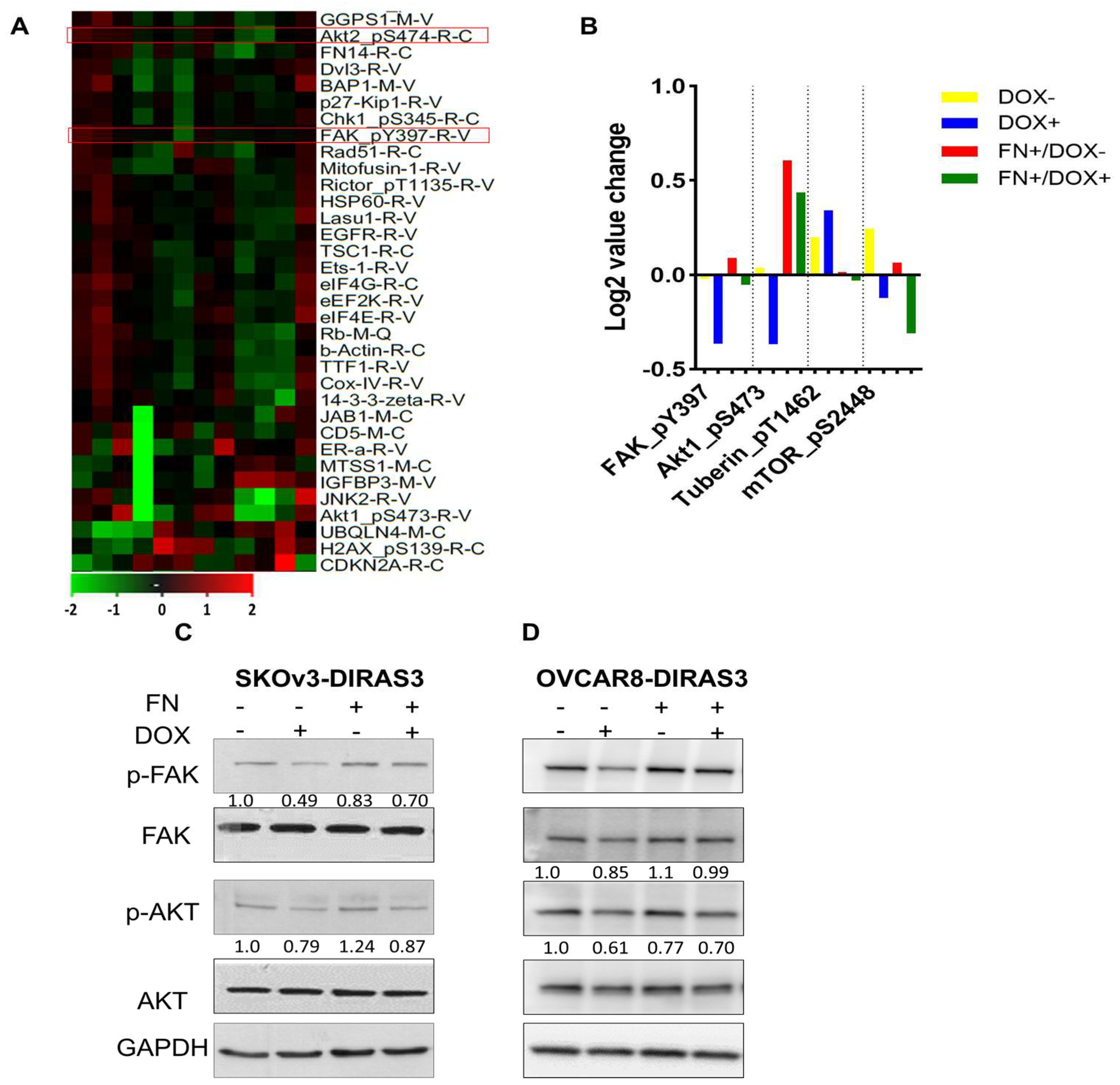 Cells 14 01250 g002 Cells 14 01250 g002