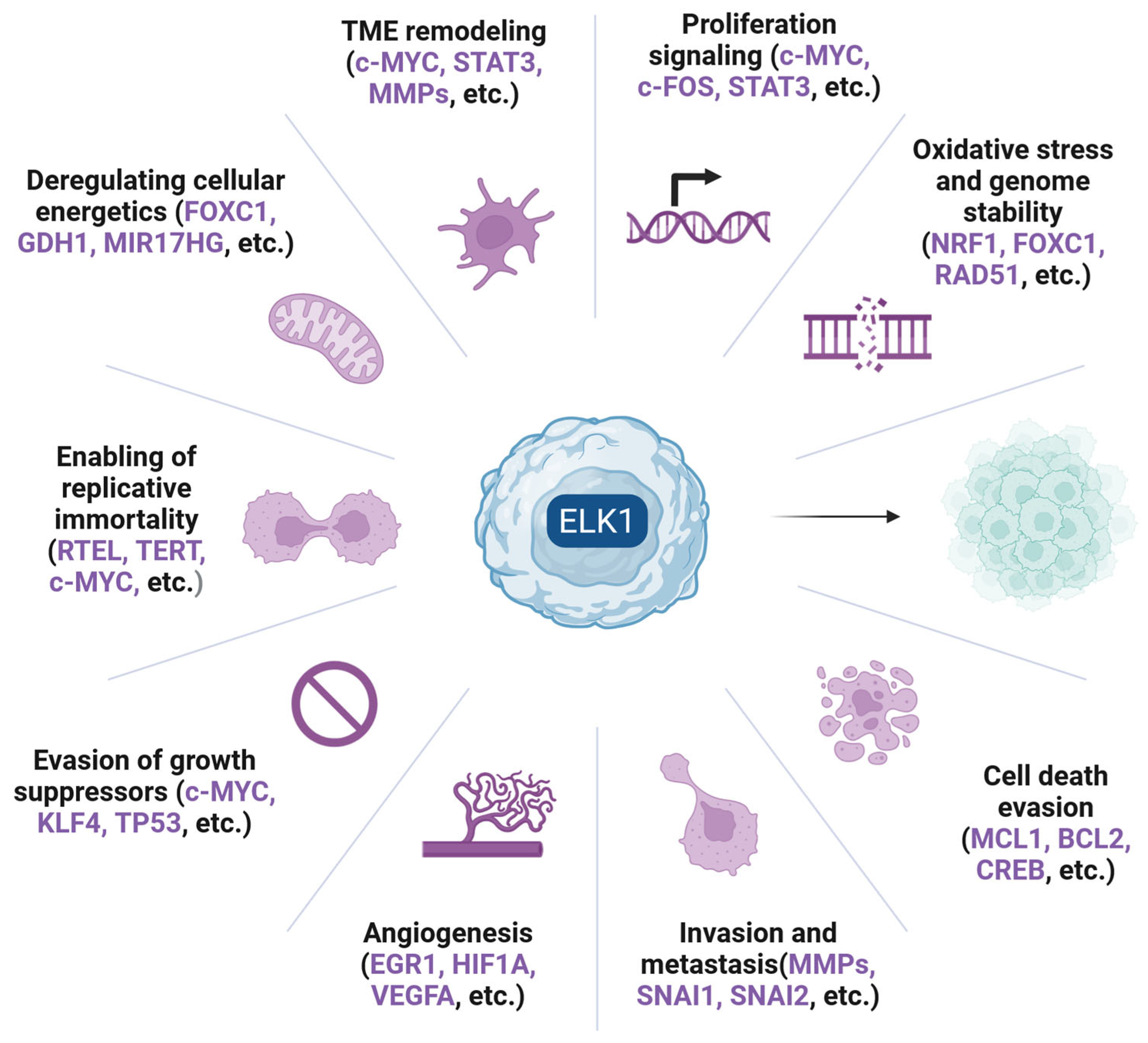 Cells 14 01257 g008 Cells 14 01257 g008