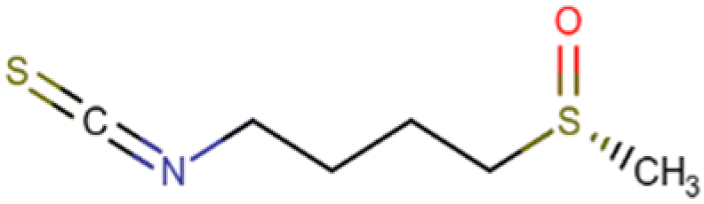 Cells 14 01337 i011 Cells 14 01337 i011