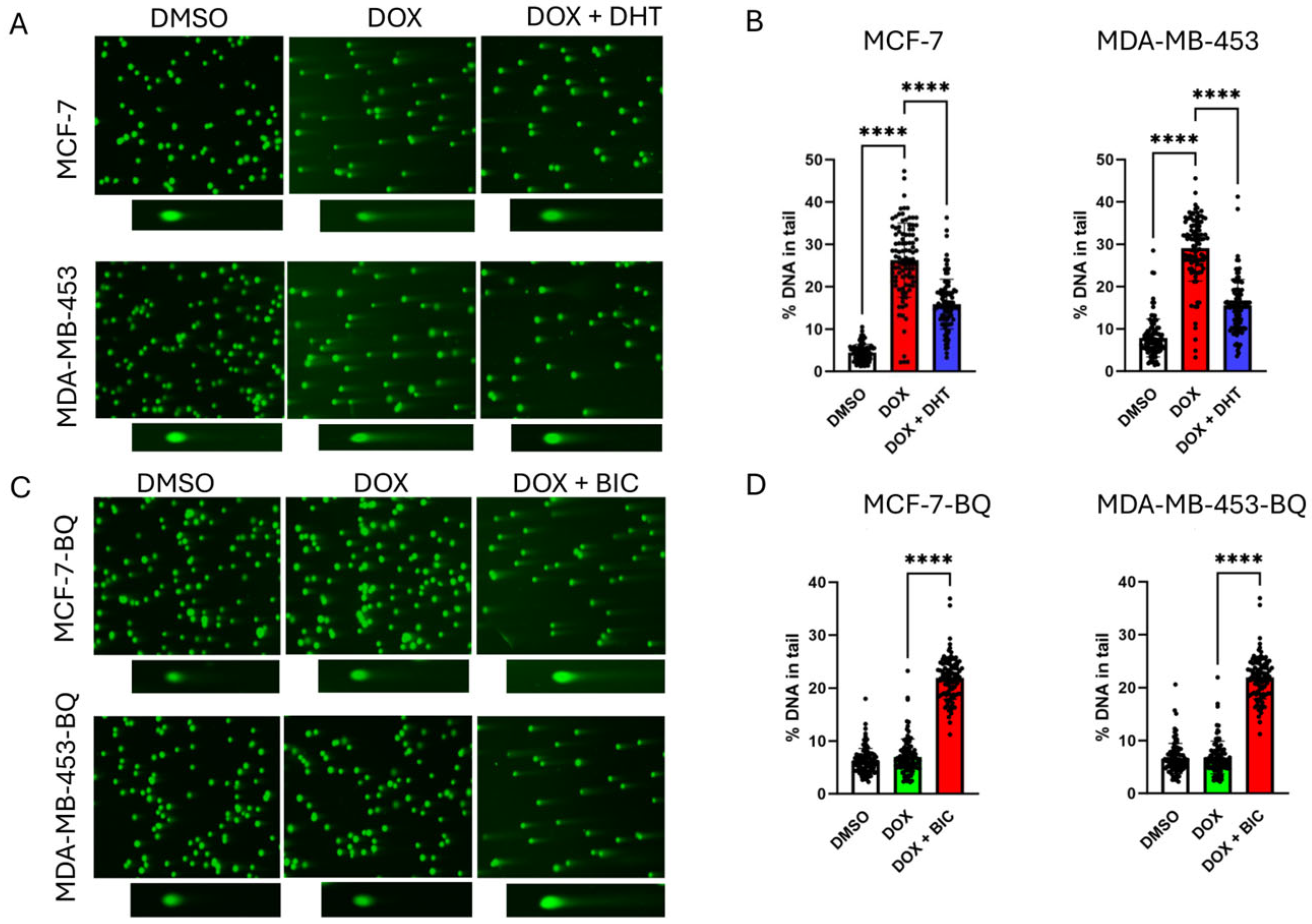 Cells 14 01341 g005 Cells 14 01341 g005