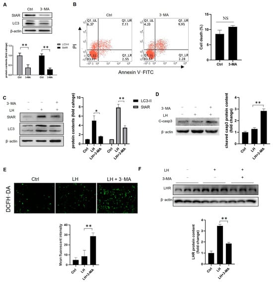 Cells 14 01376 g006