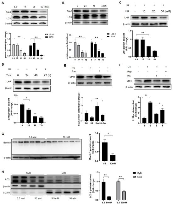 Cells 14 01376 g007