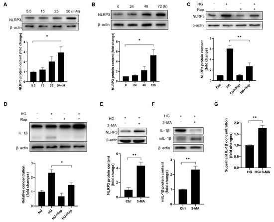 Cells 14 01376 g009