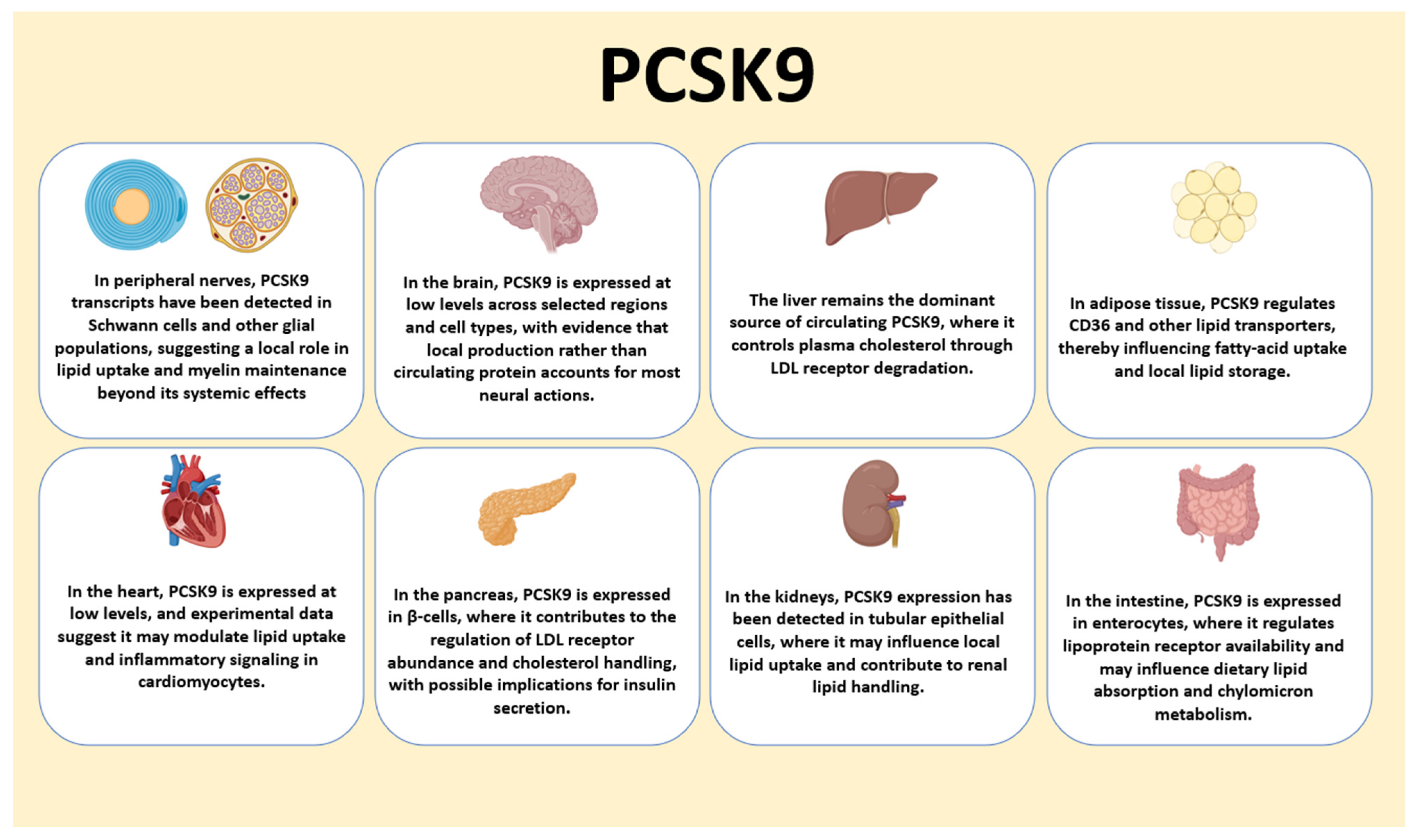 PCSK9 Regulation of Lipid Metabolism in the Nervous System ...