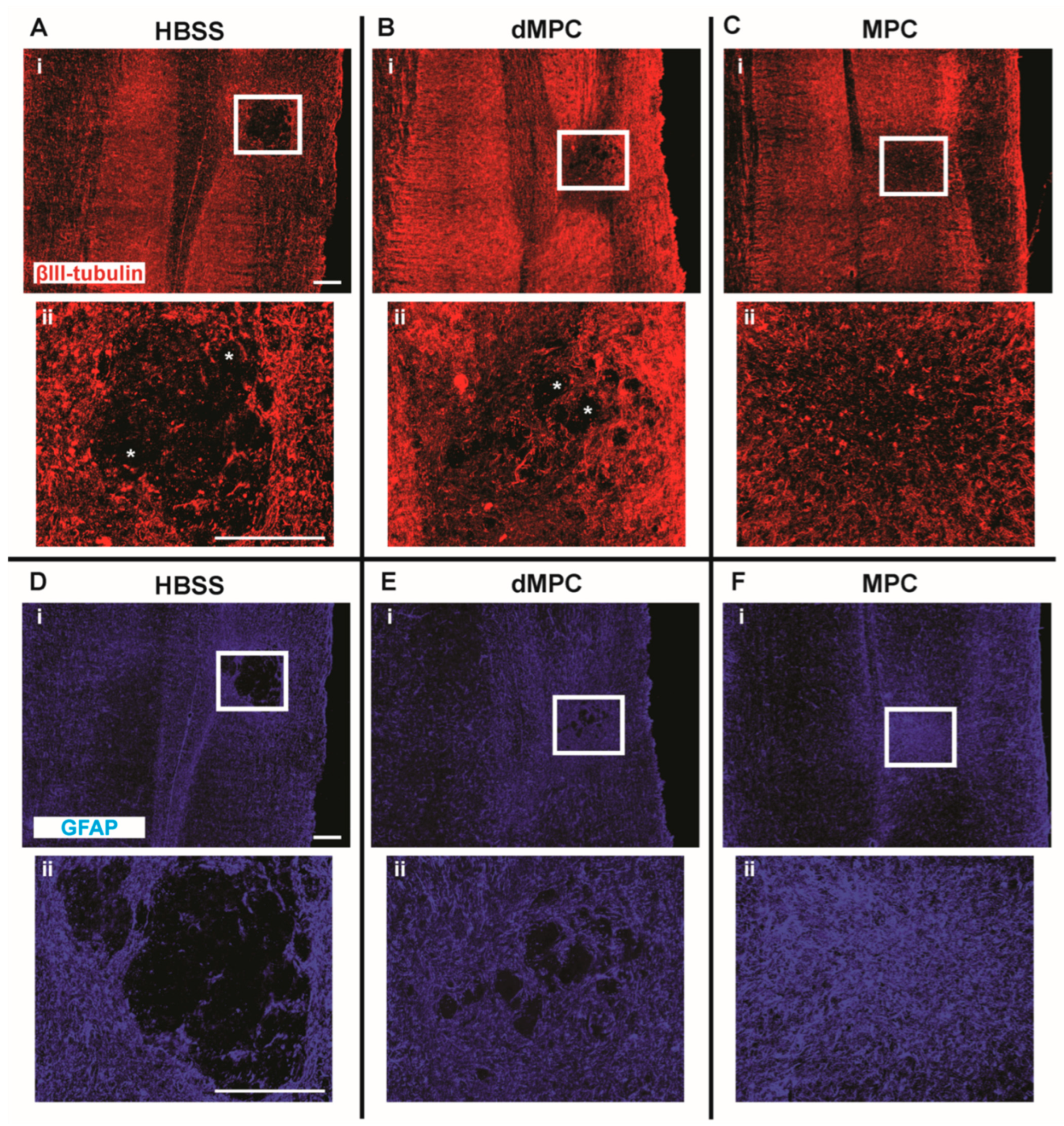Cells 14 01488 g003 Cells 14 01488 g003