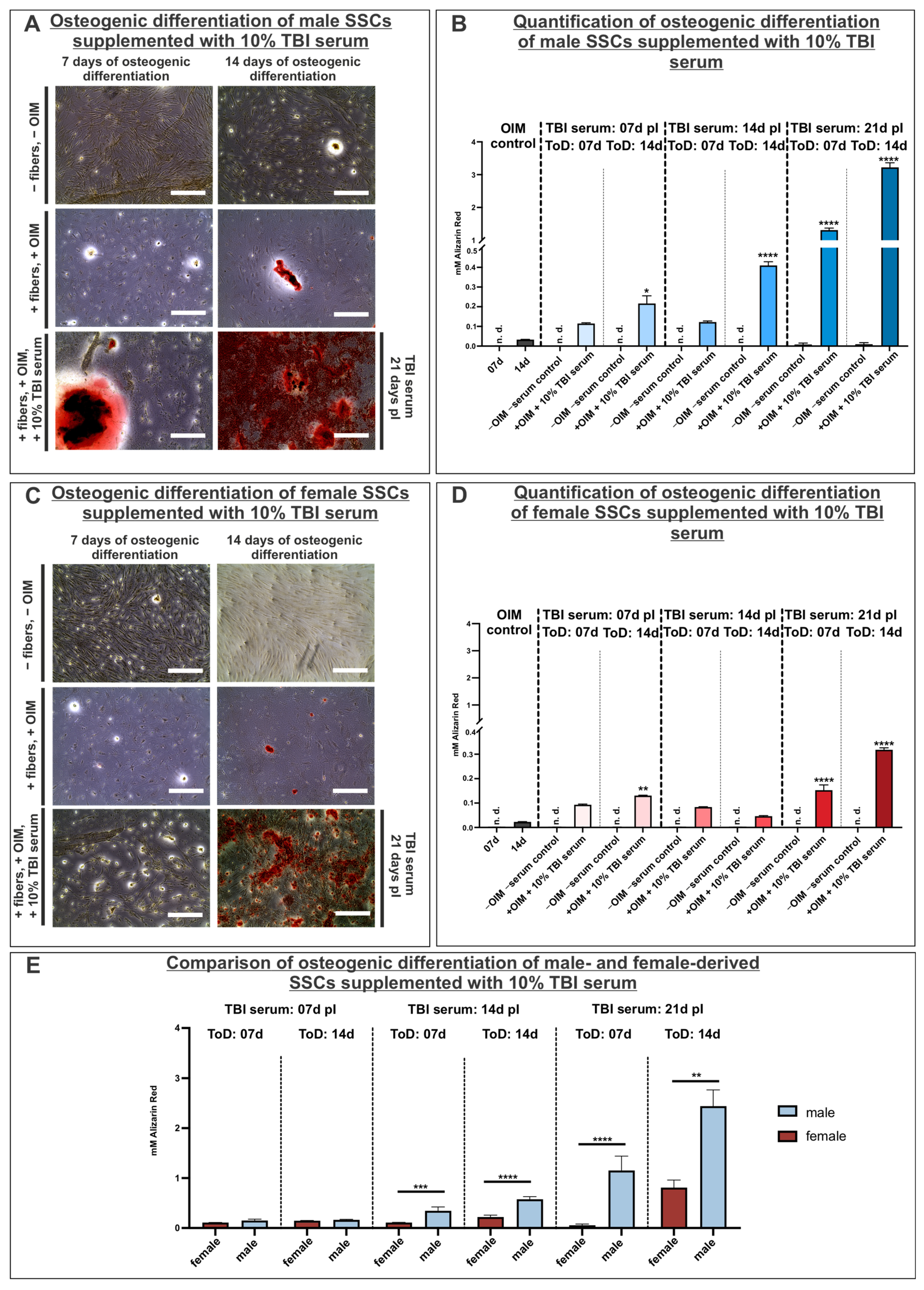 Cells 14 01491 g005 Cells 14 01491 g005