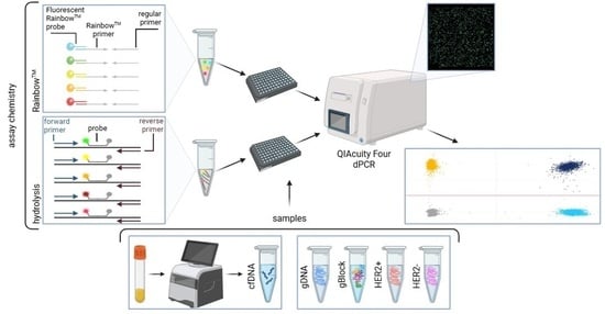 Multiplexed Digital PCR Reference Gene Measurement for Genomic and Cell ...