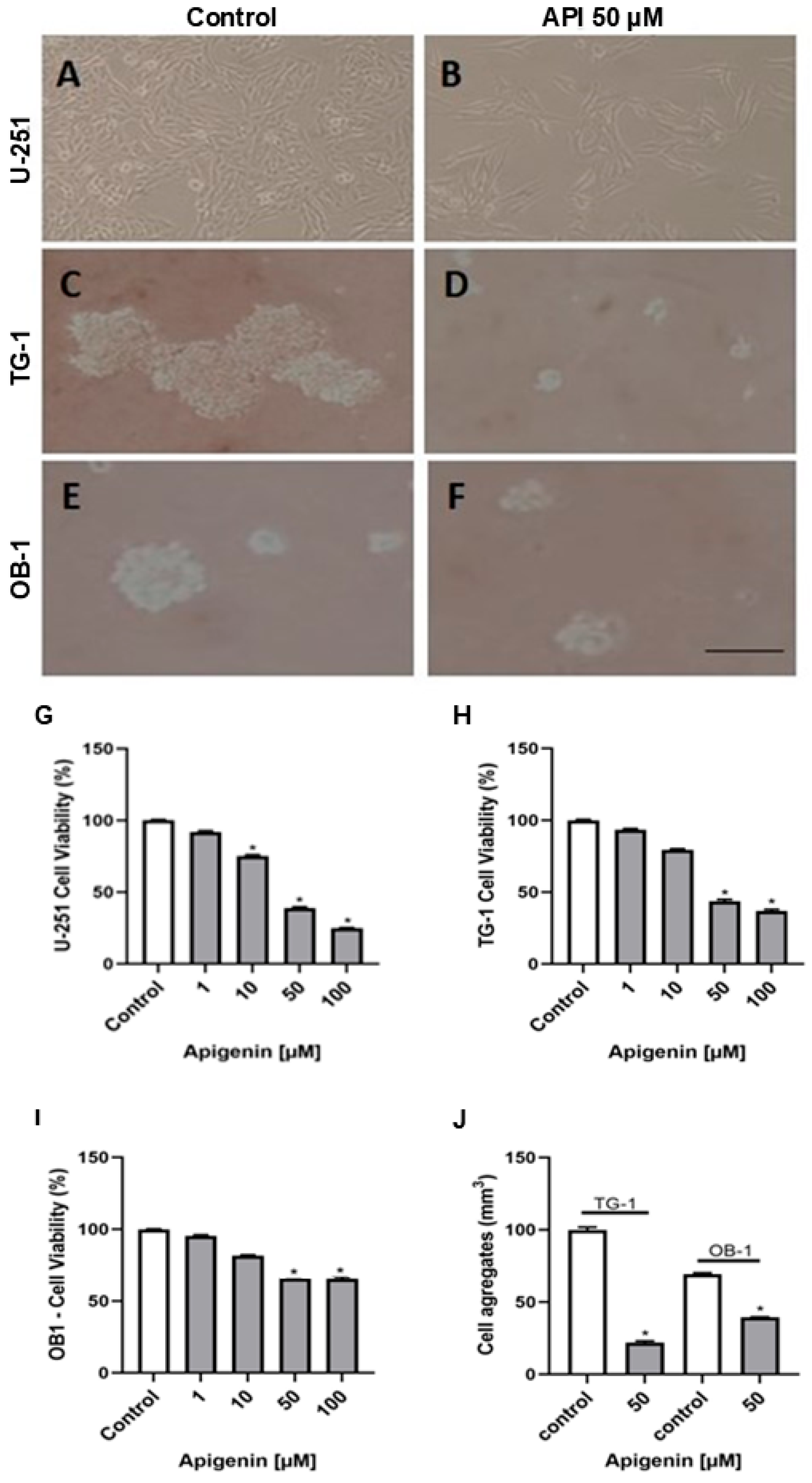 Cells 14 01552 g001 Cells 14 01552 g001